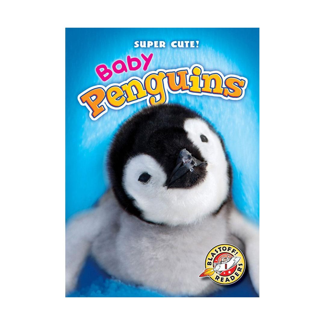 Baby Penguins