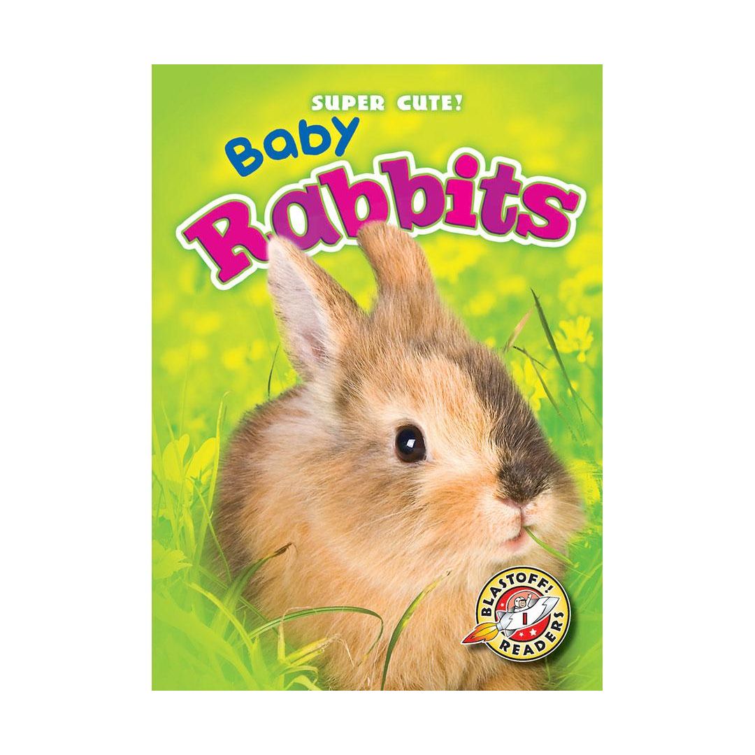Baby Rabbits