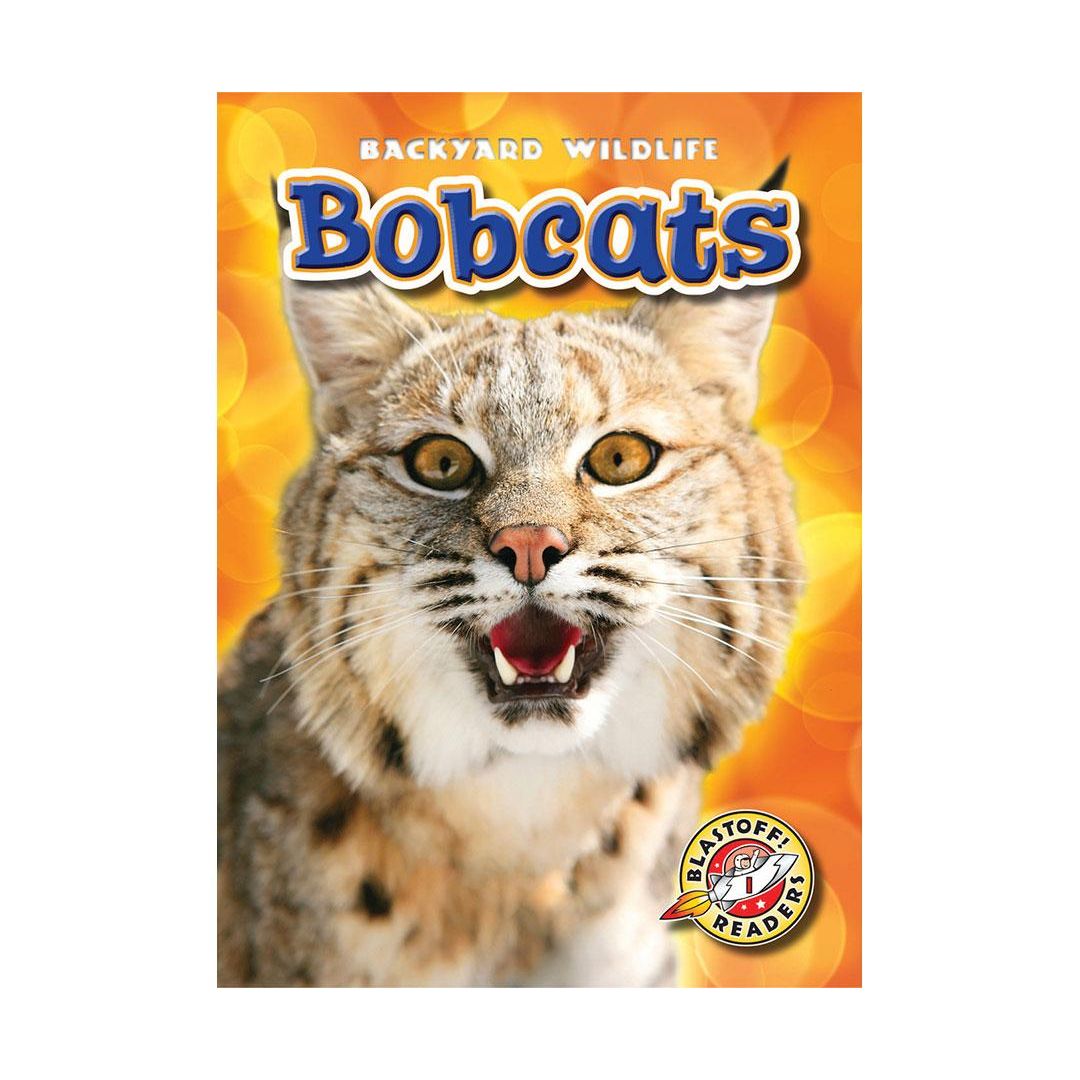 Bobcats
