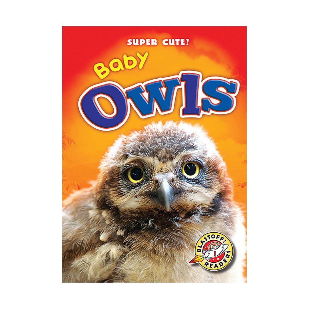 Baby Owls