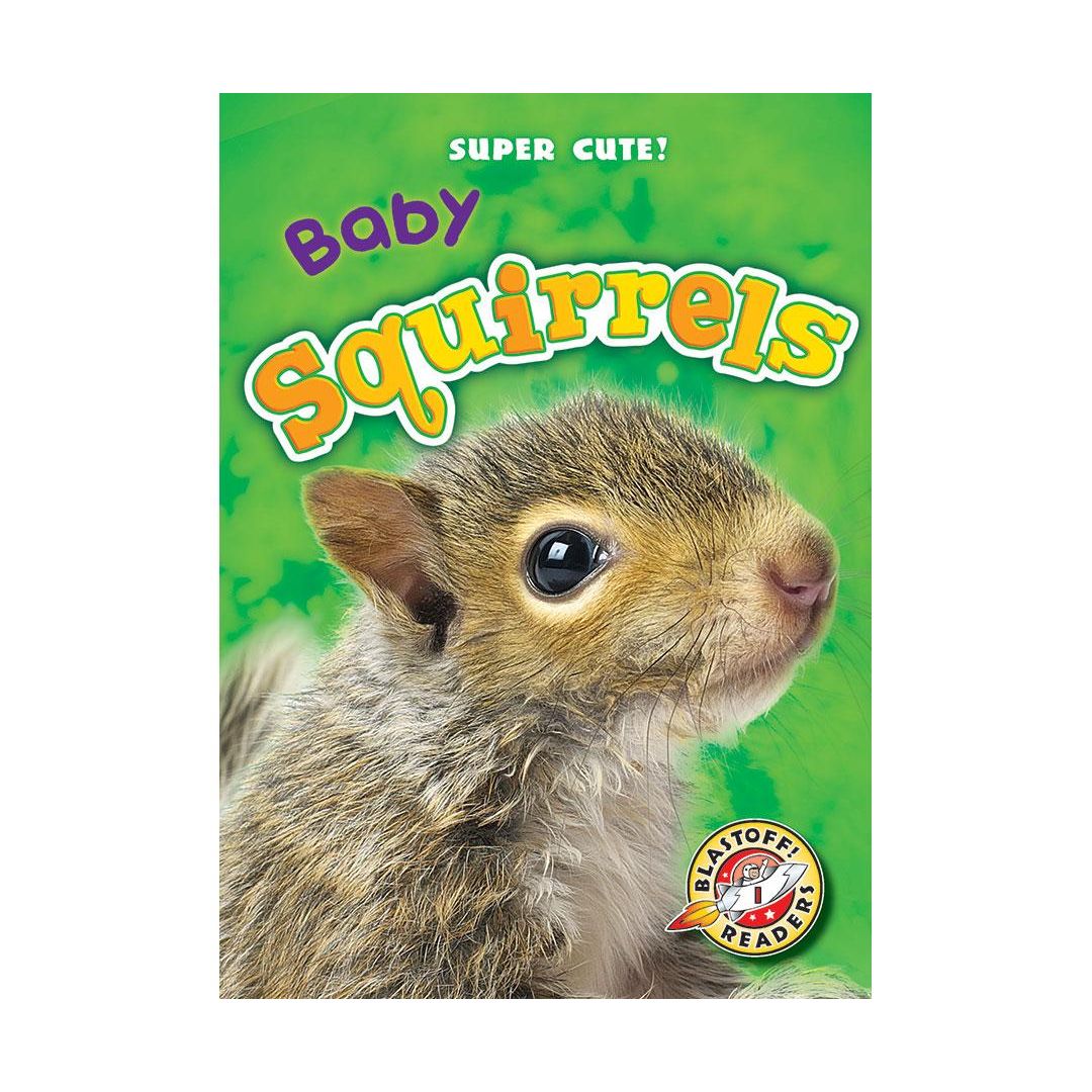 Baby Squirrels