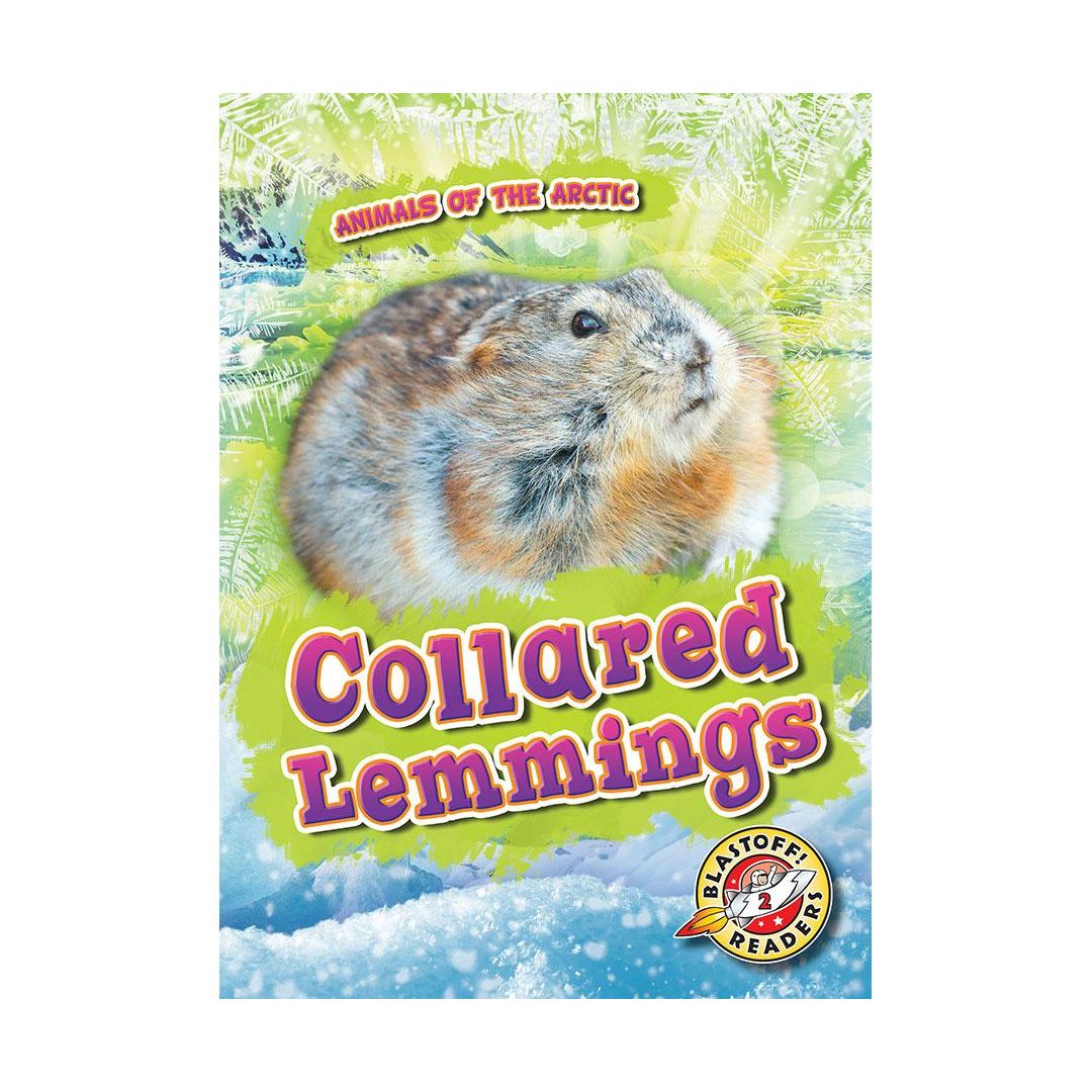 Collared Lemmings