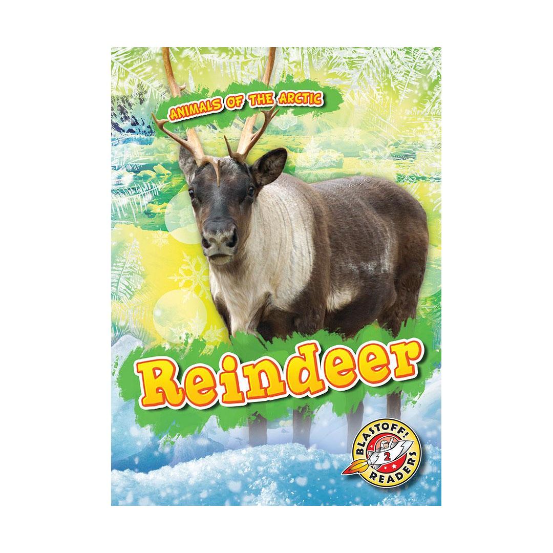 Reindeer