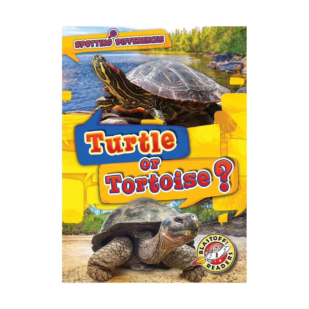 Turtle or Tortoise?