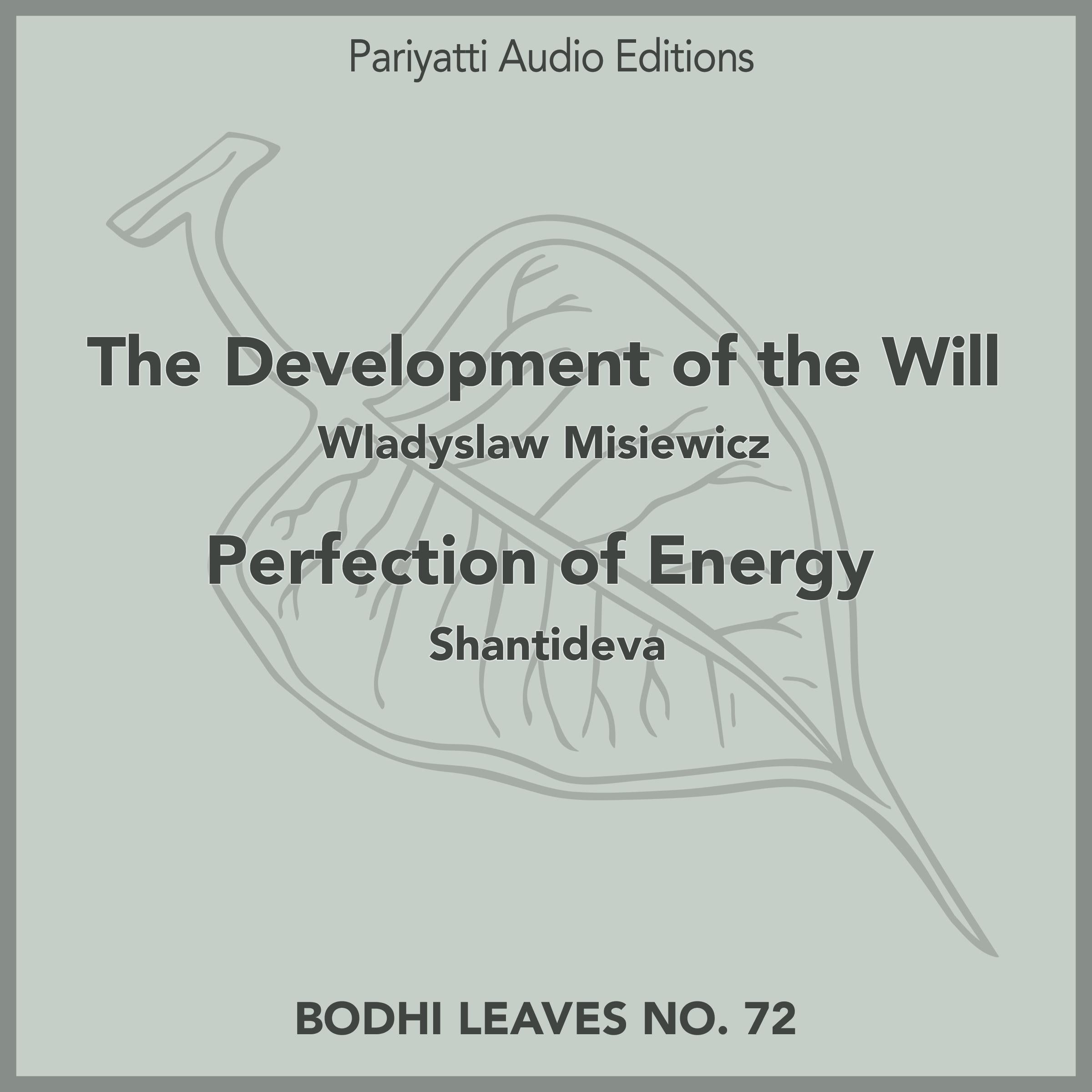The Development of the Will and Perfection of Energy