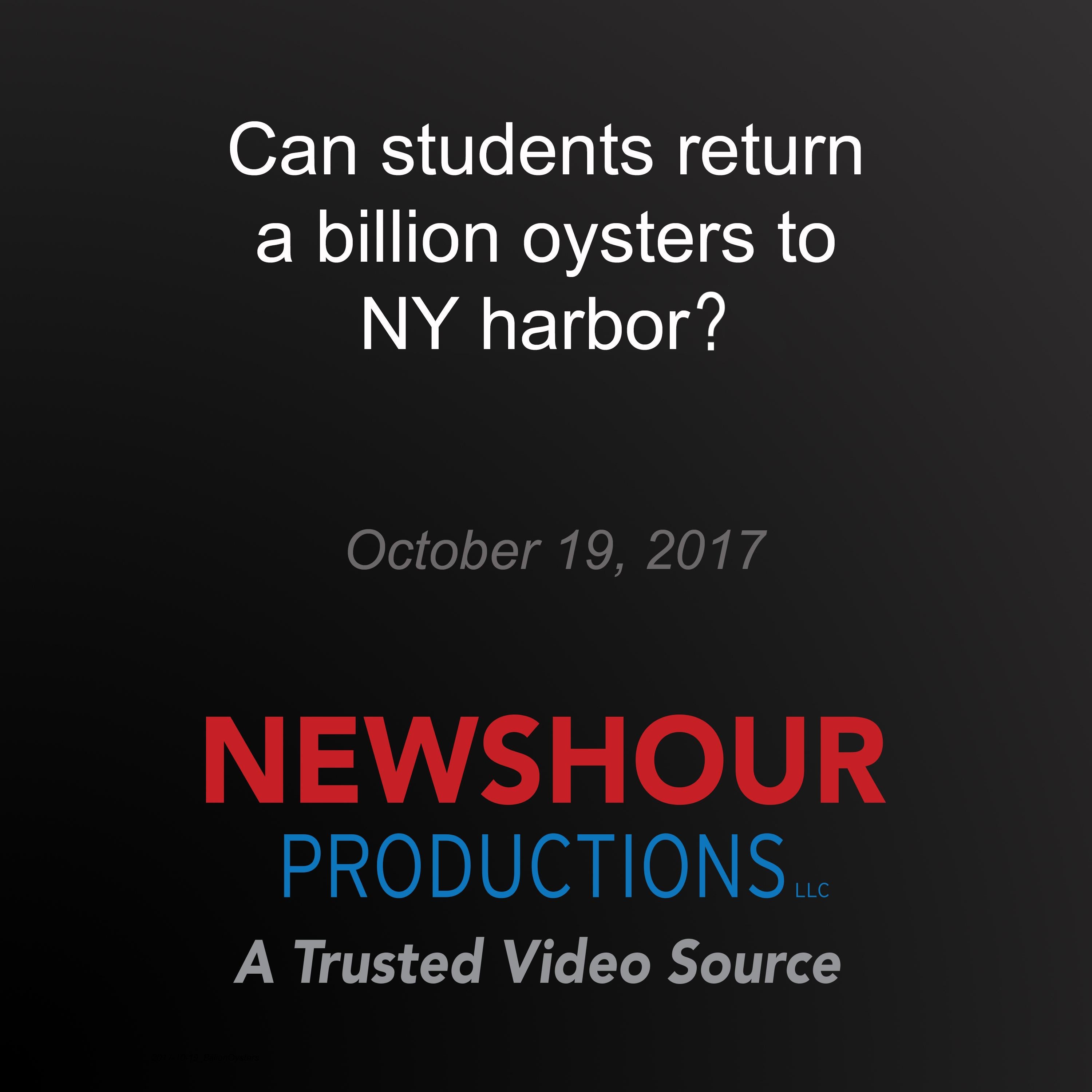 Can students return a billion oysters to NY harbor?