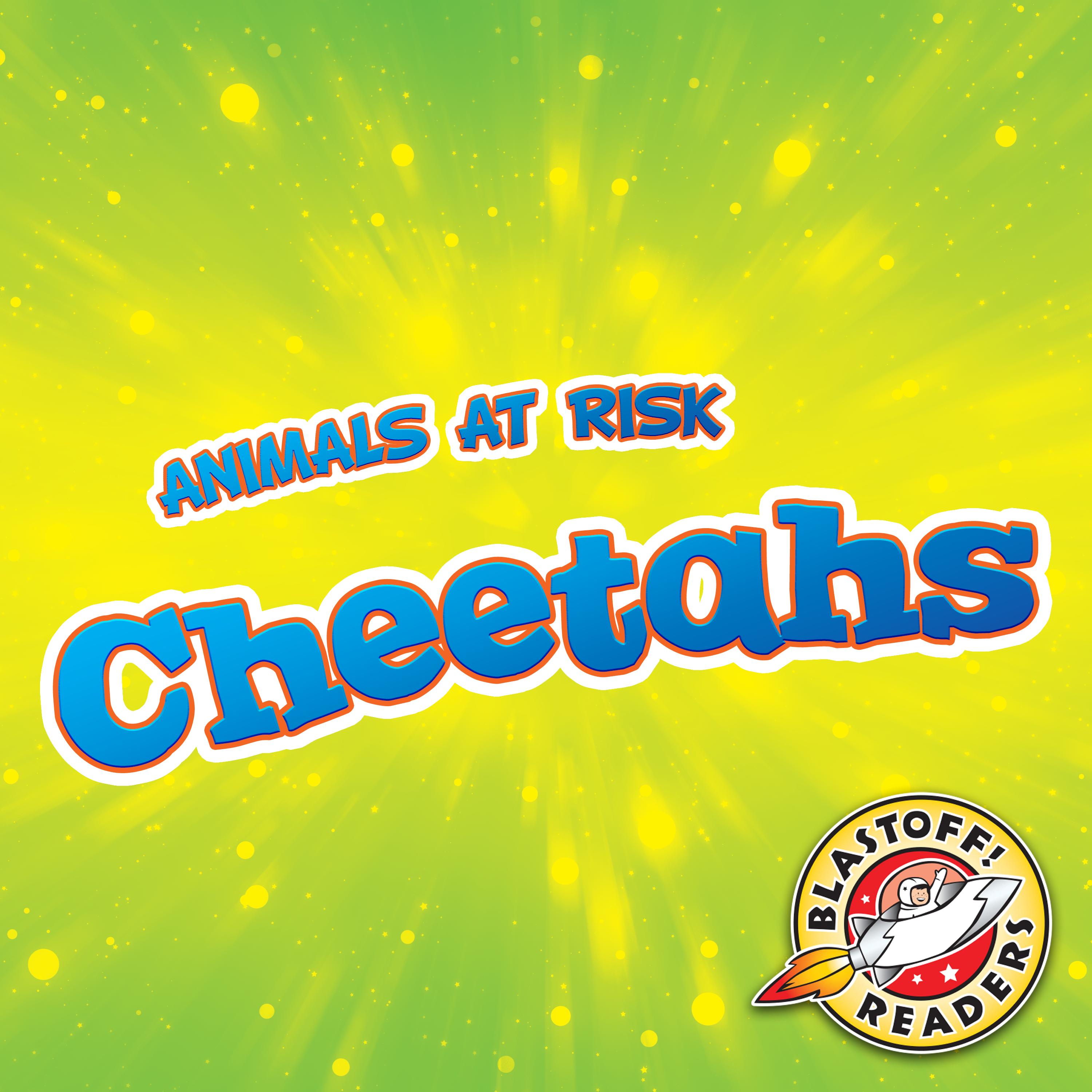 Cheetahs