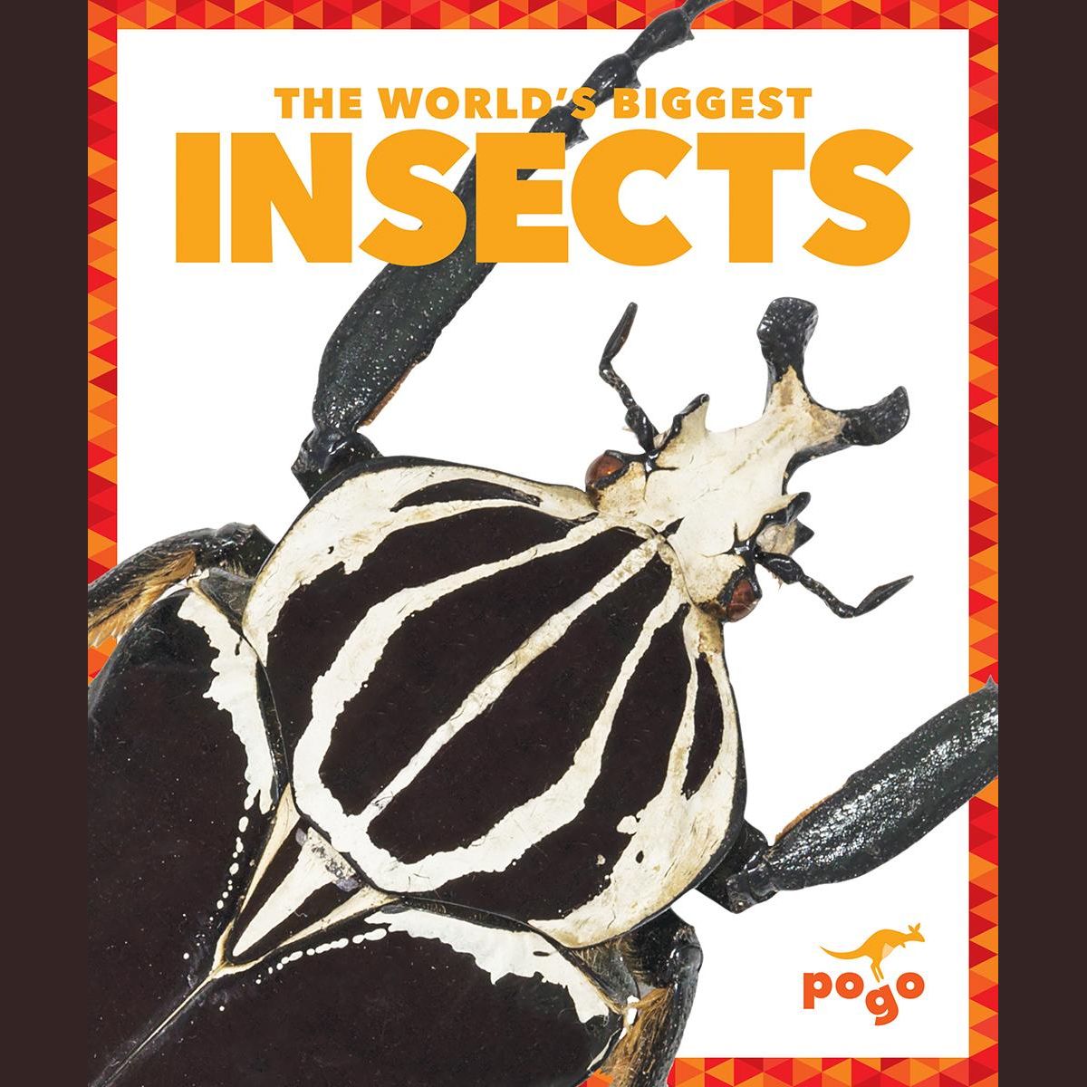 The World's Biggest Insects