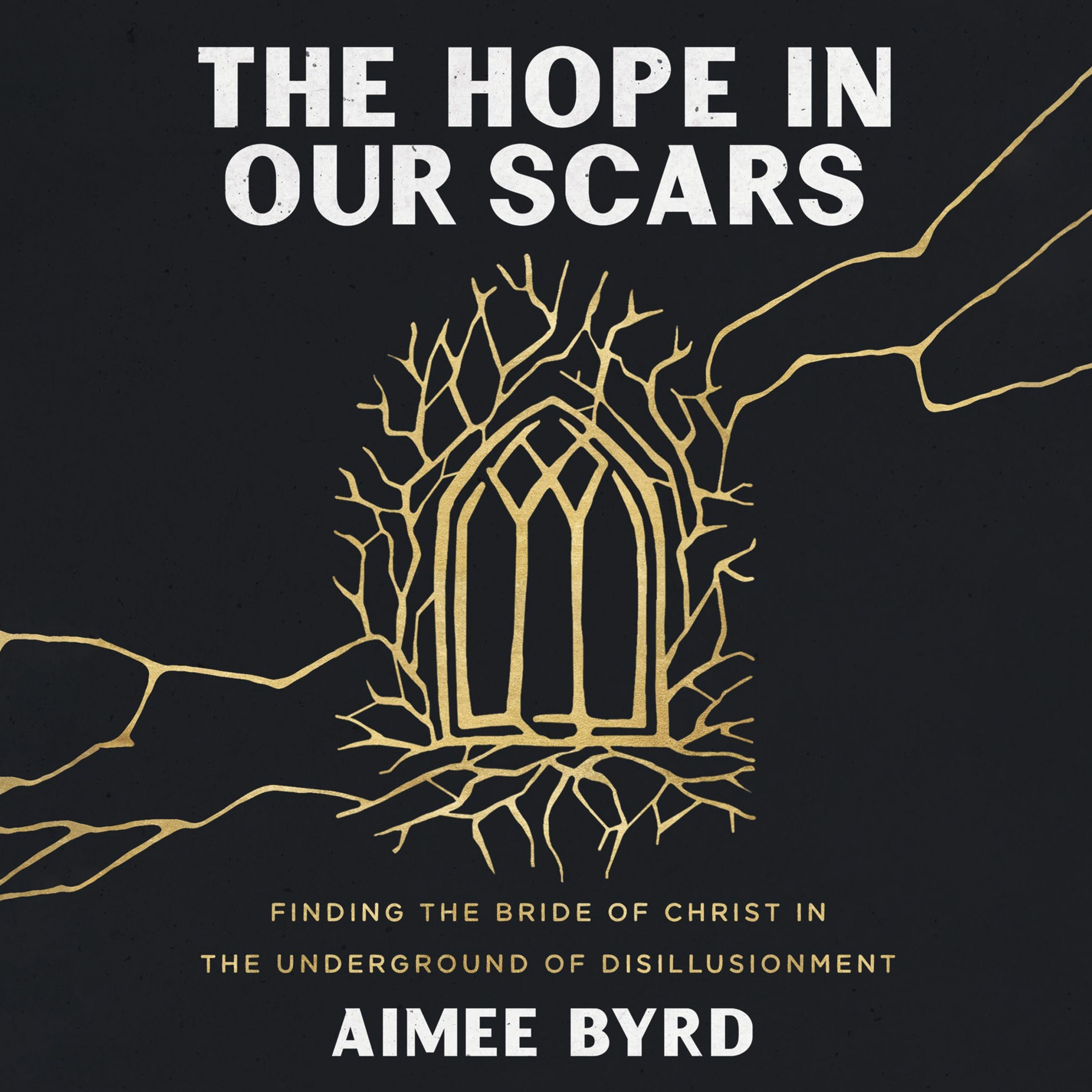 The Hope in Our Scars