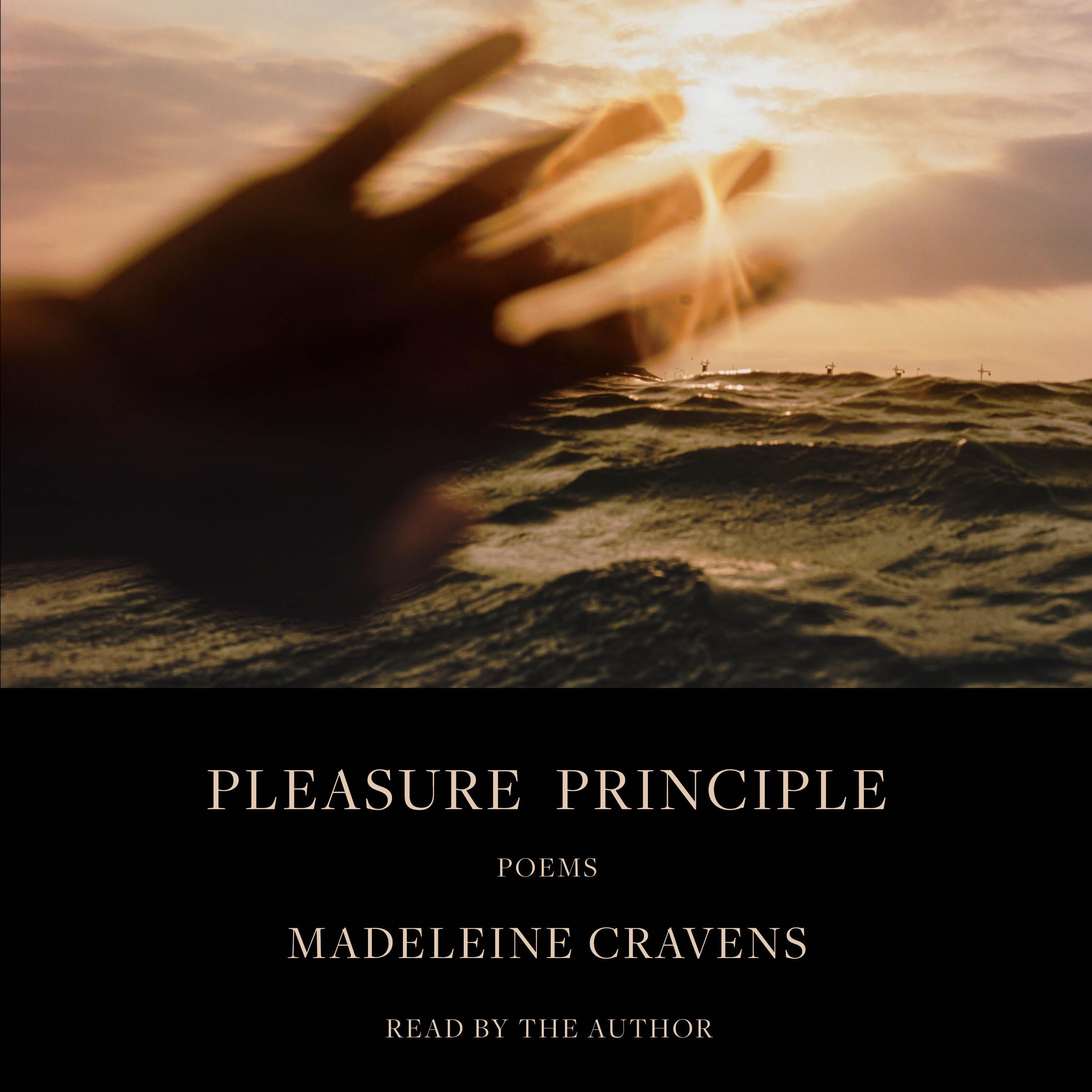 Pleasure Principle