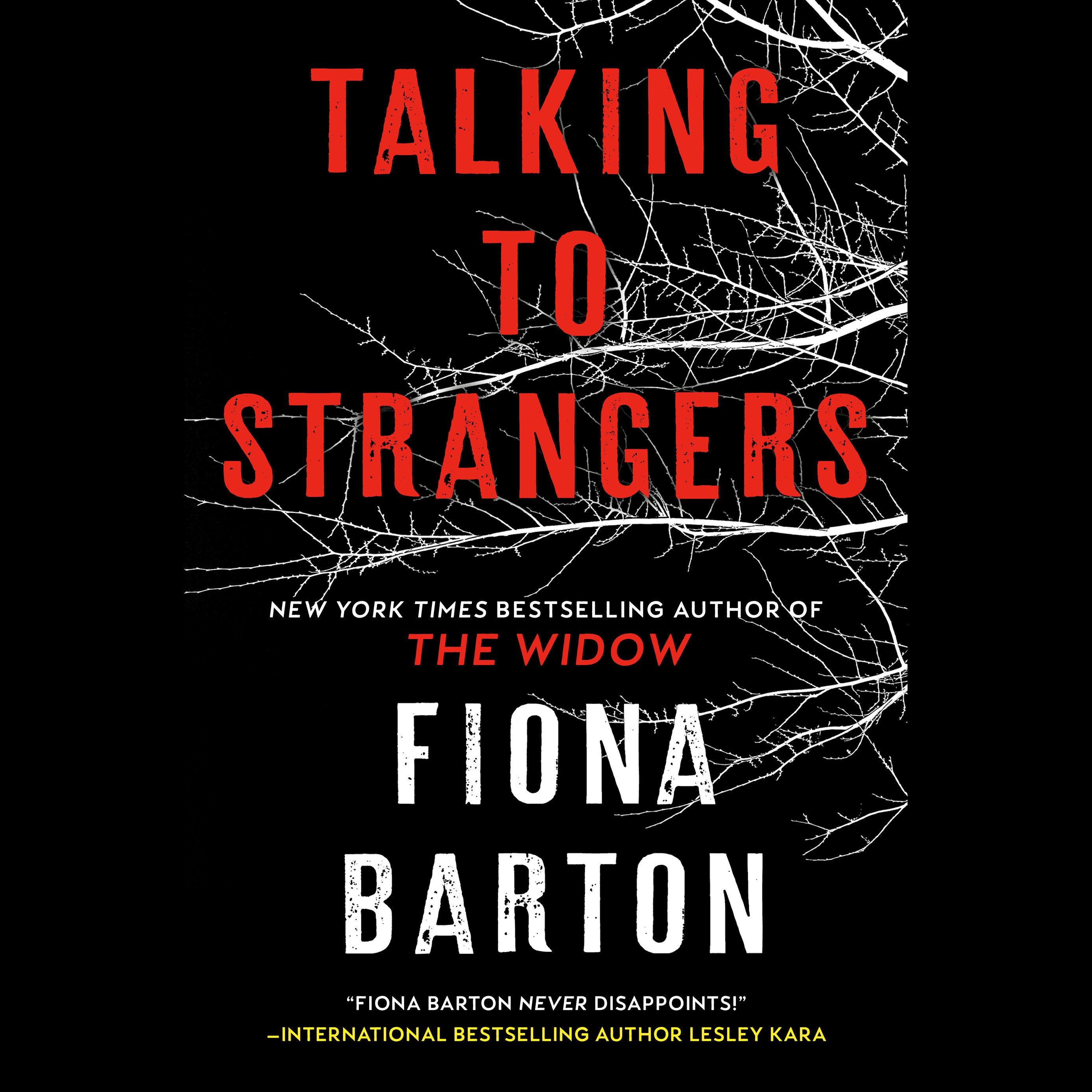 Talking to Strangers