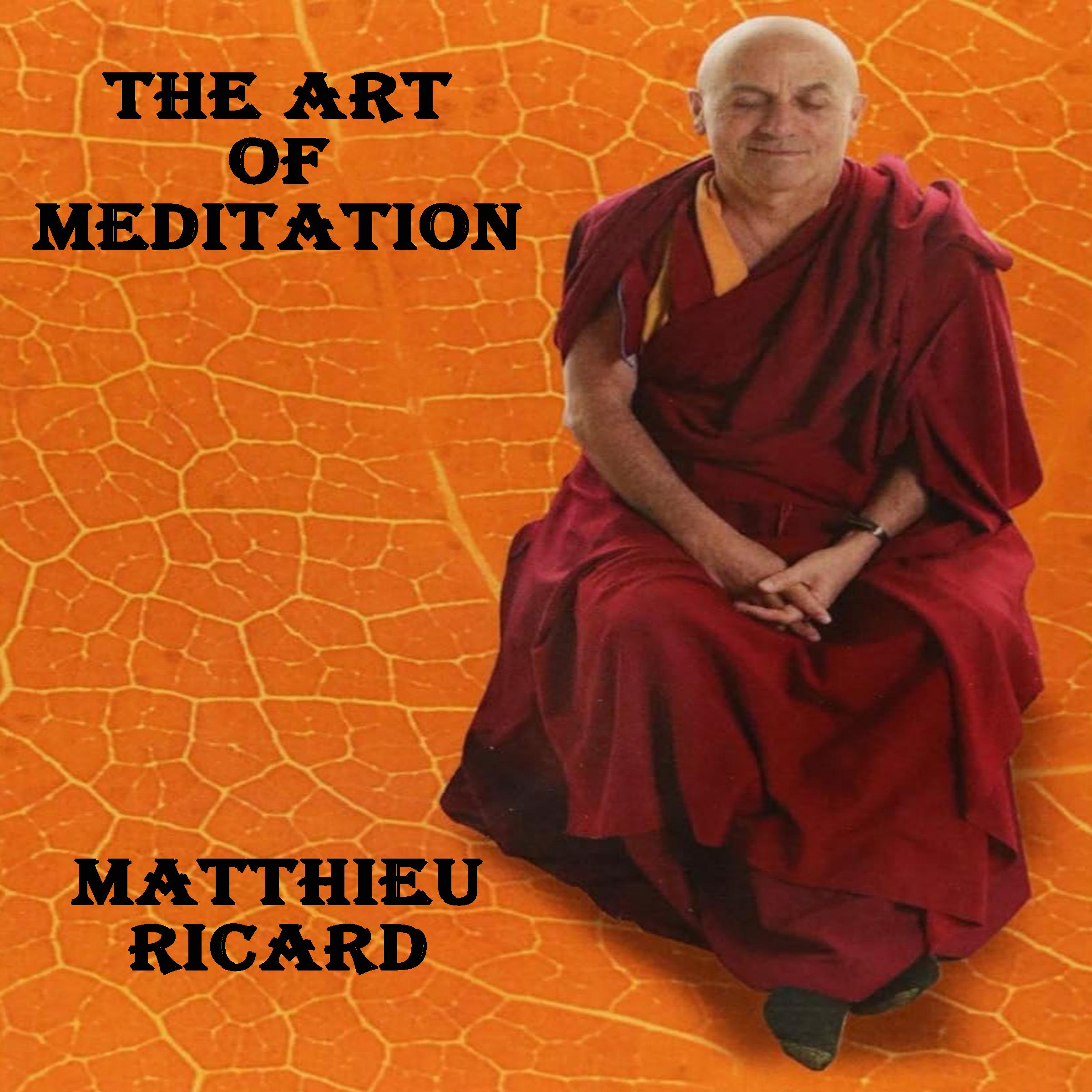 The Art of Meditation