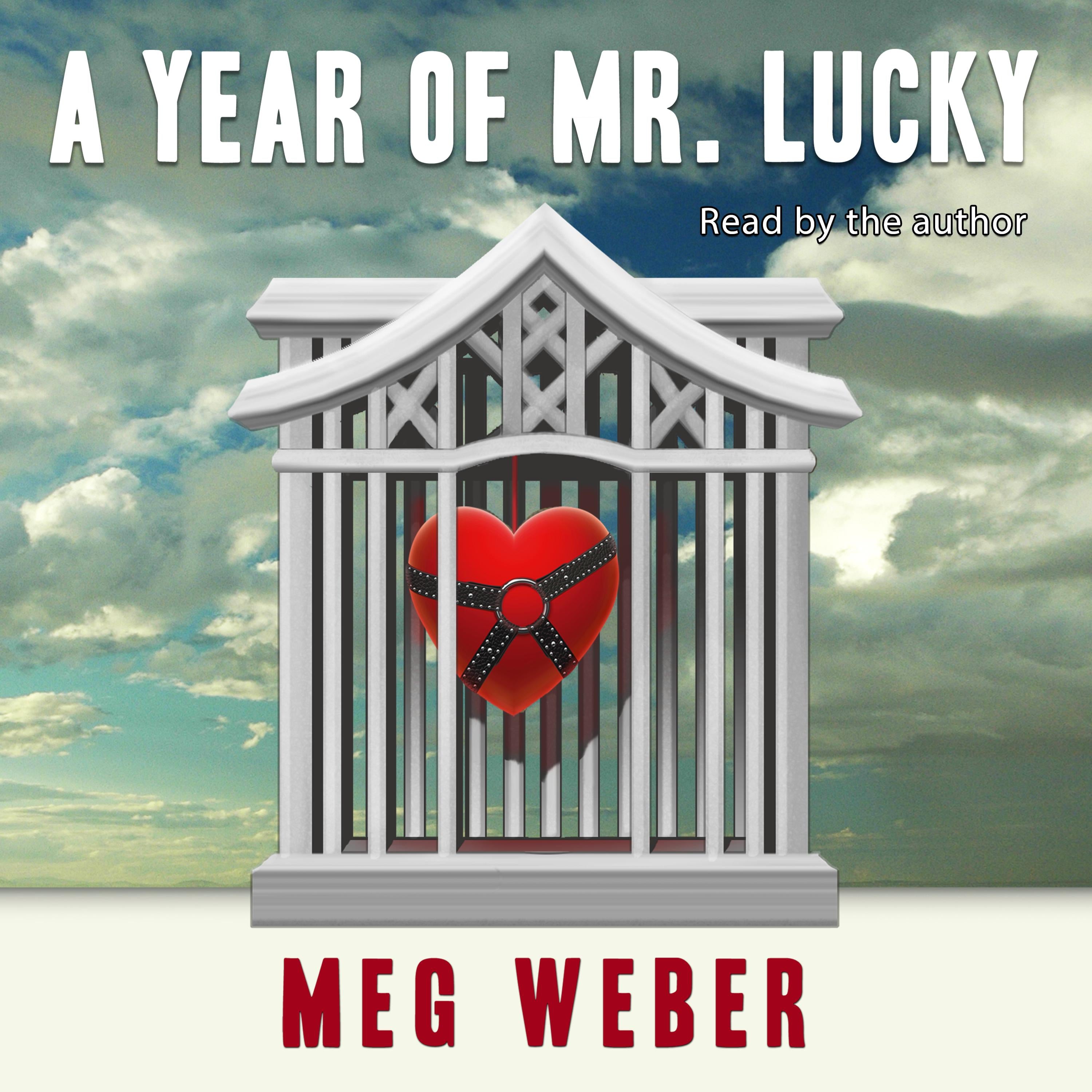 A Year of Mr. Lucky