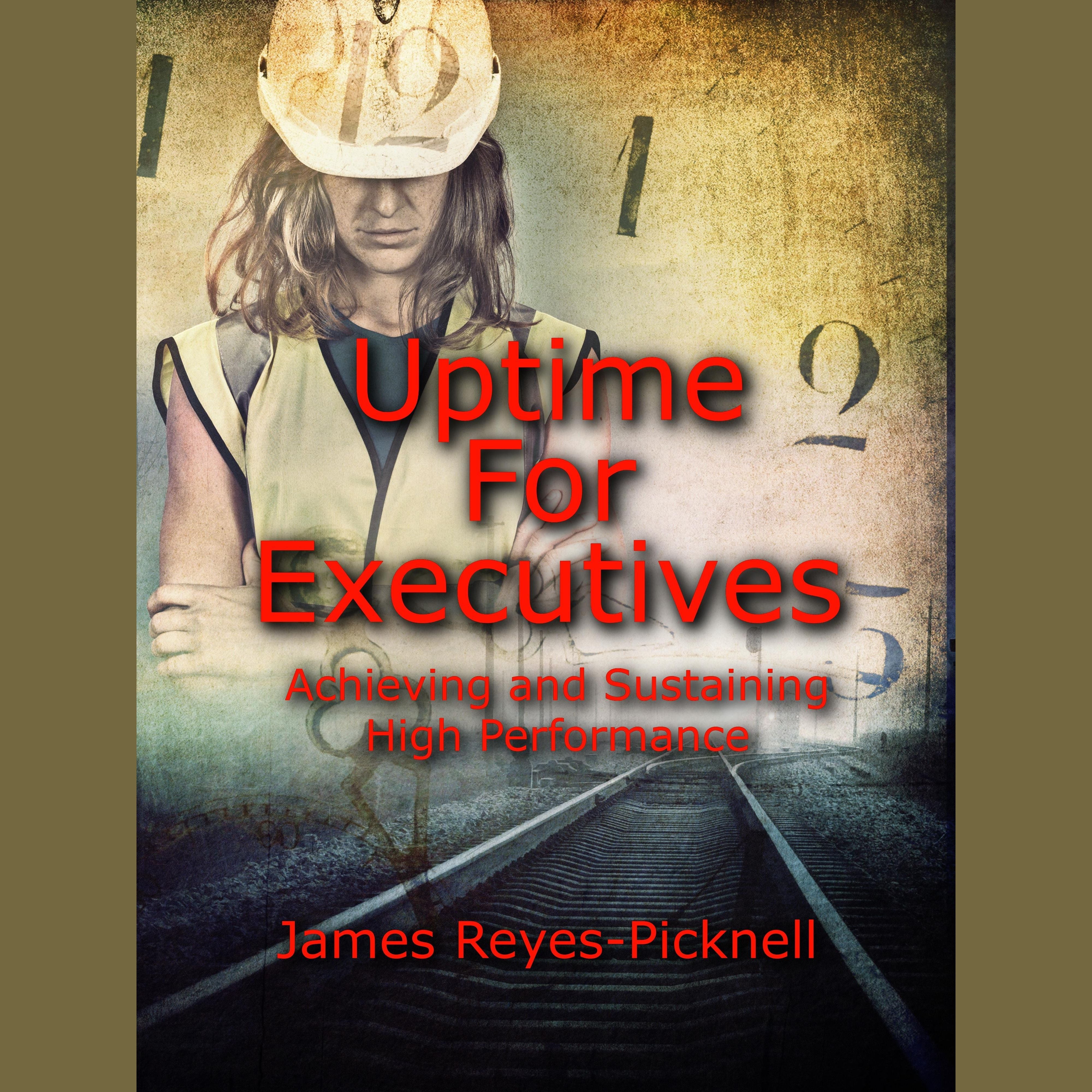 Uptime for Executives