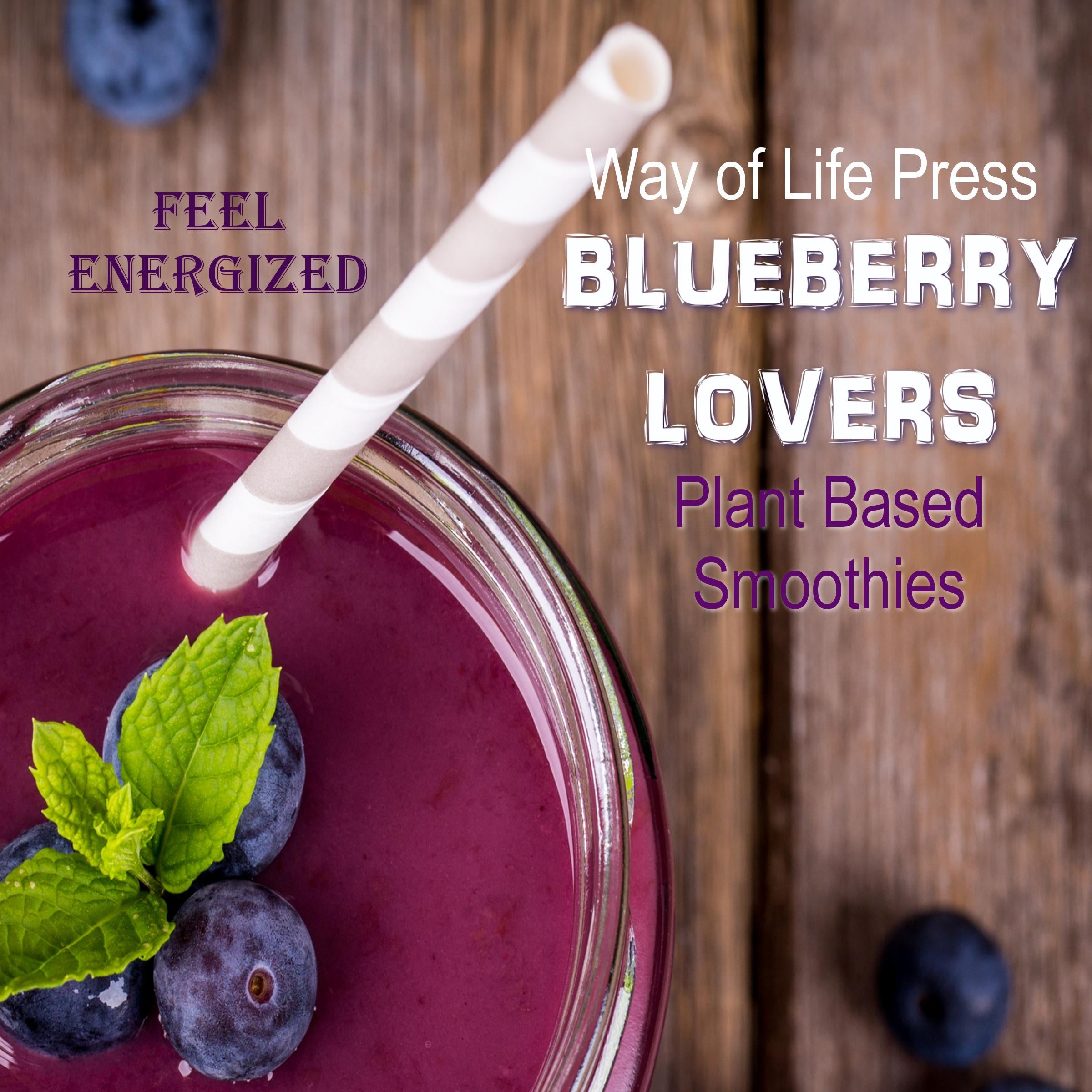 Plant Based Smoothies - Feel Energized - Blueberry Lovers