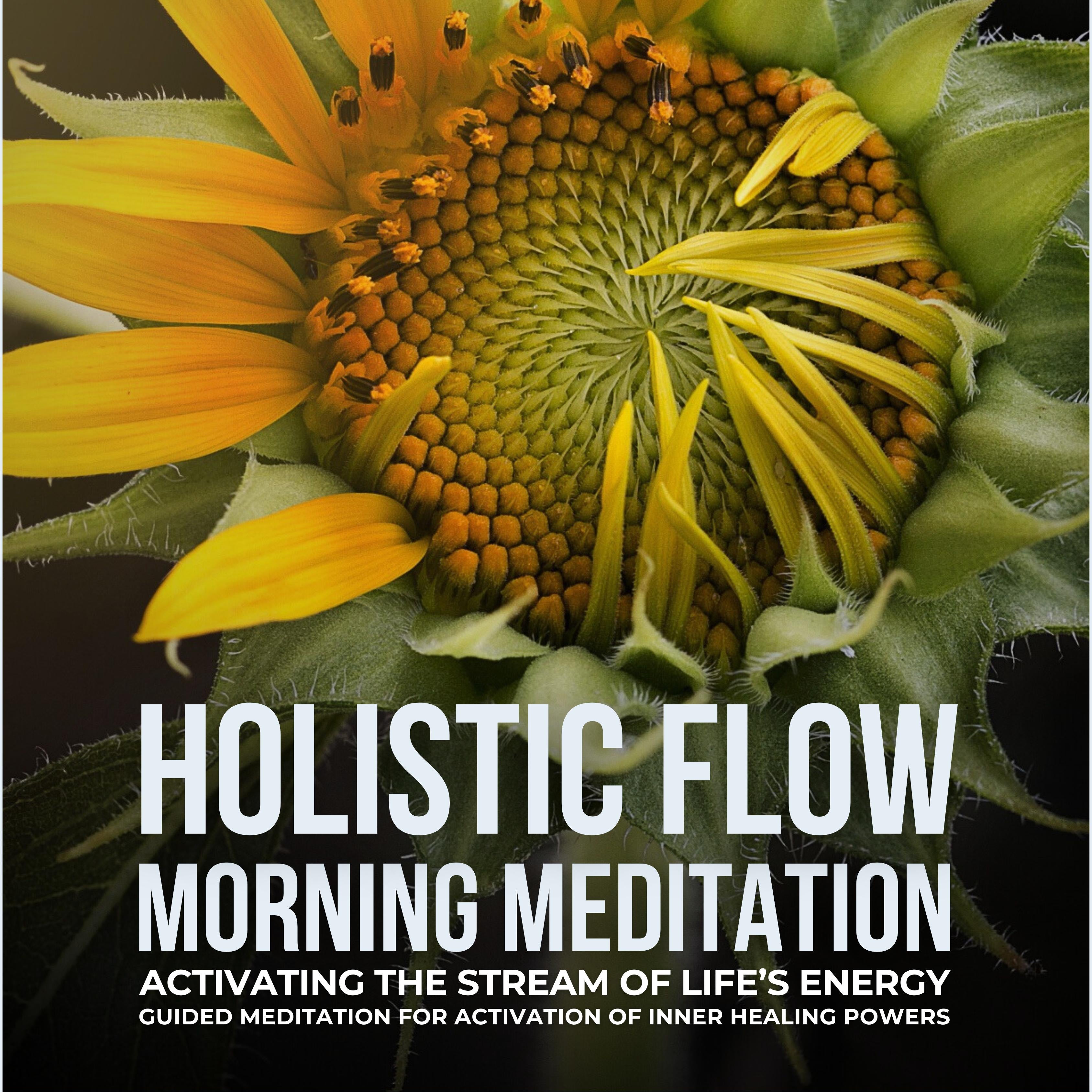 Holistic Flow Morning Meditation – Activating The Stream Of Life’s Energy