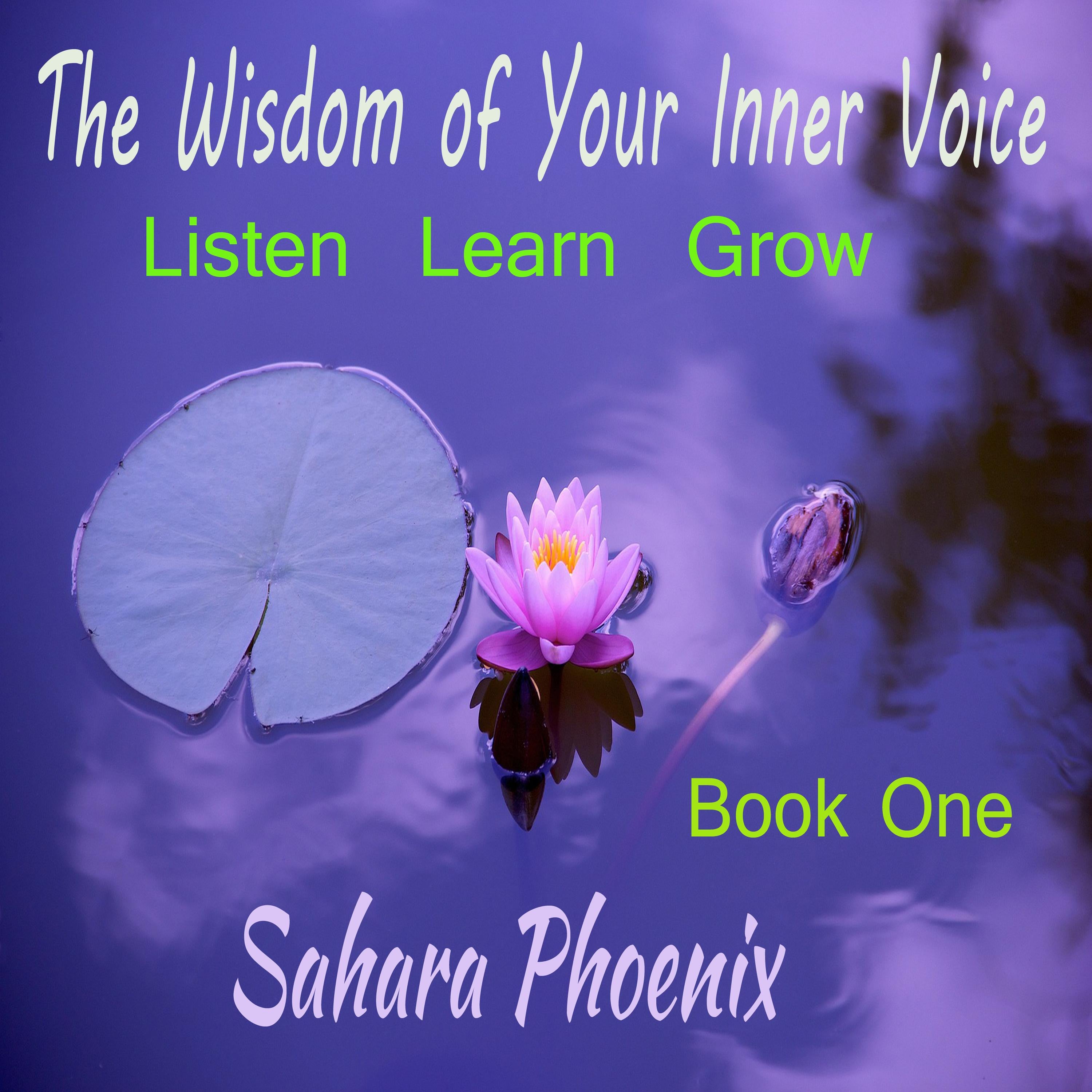 The Wisom Of Your Inner Voice