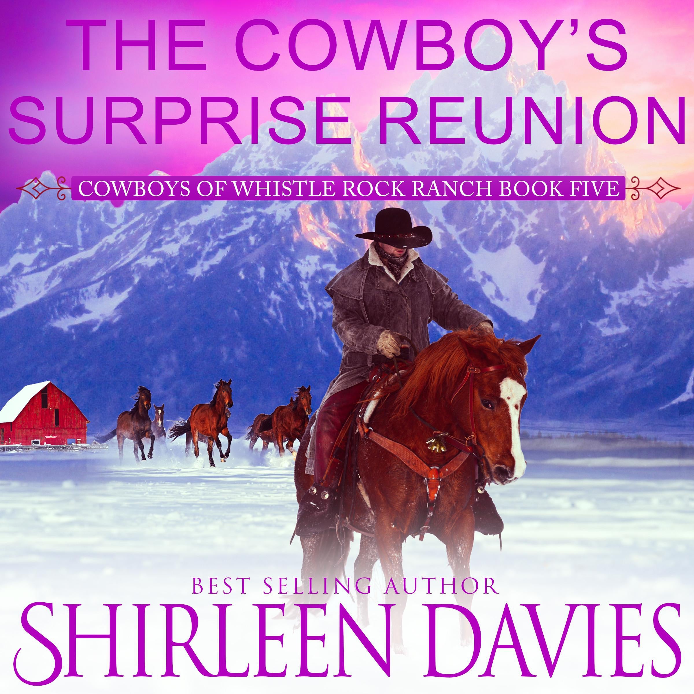 The Cowboy's Surprise Reunion