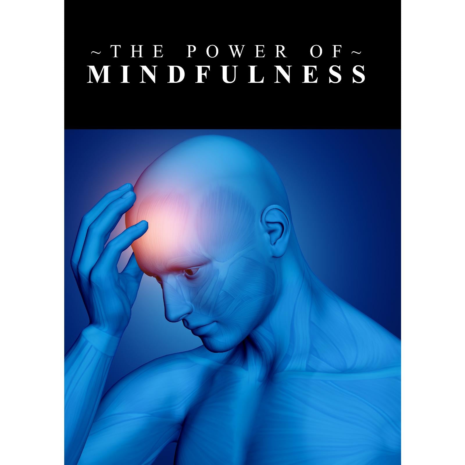 The Power Of Mindfulness - Learn the Power of Controlling Your Thoughts and Emotions so that you can Live a more Meaningful and Empowered Life