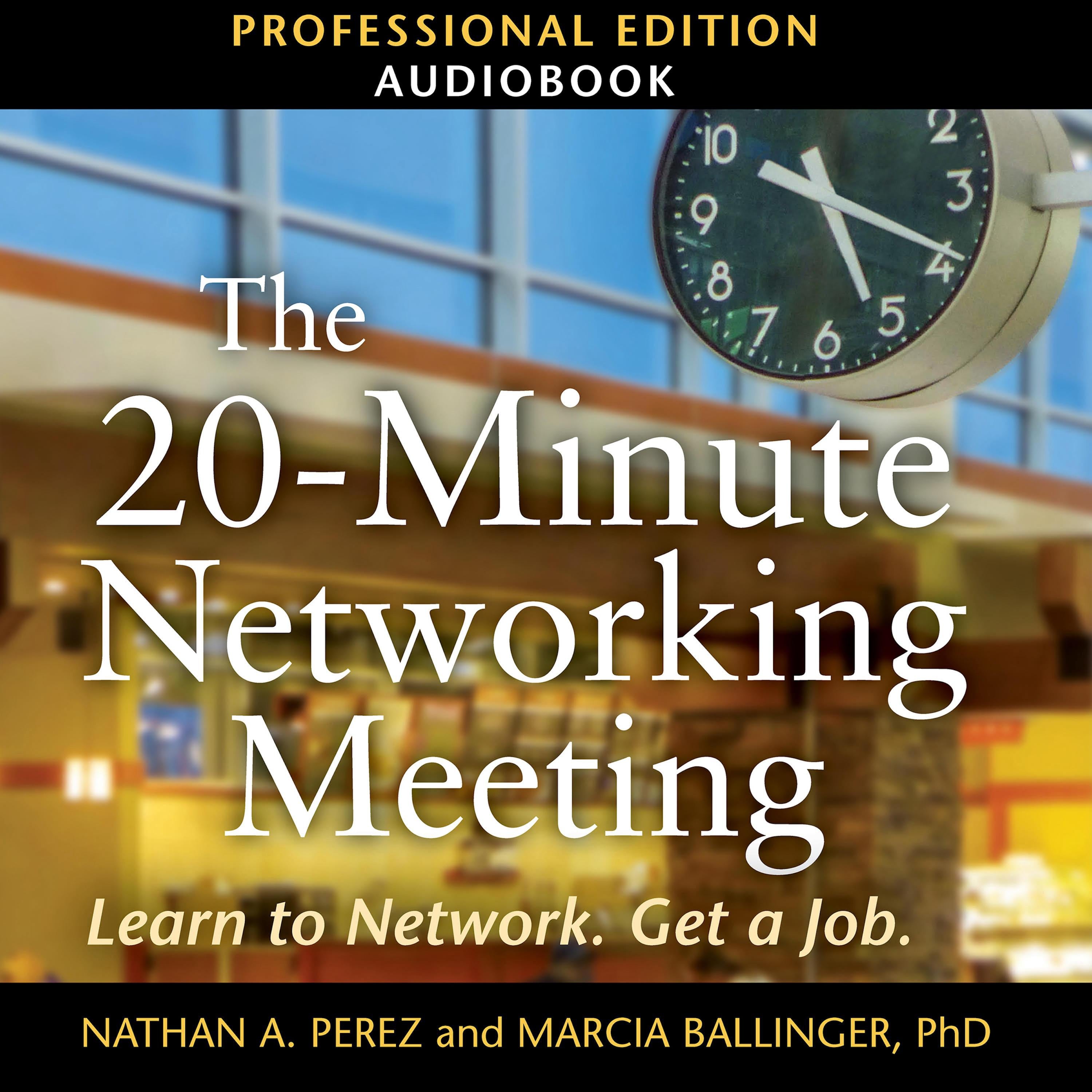The 20-Minute Networking Meeting - Professional Edition