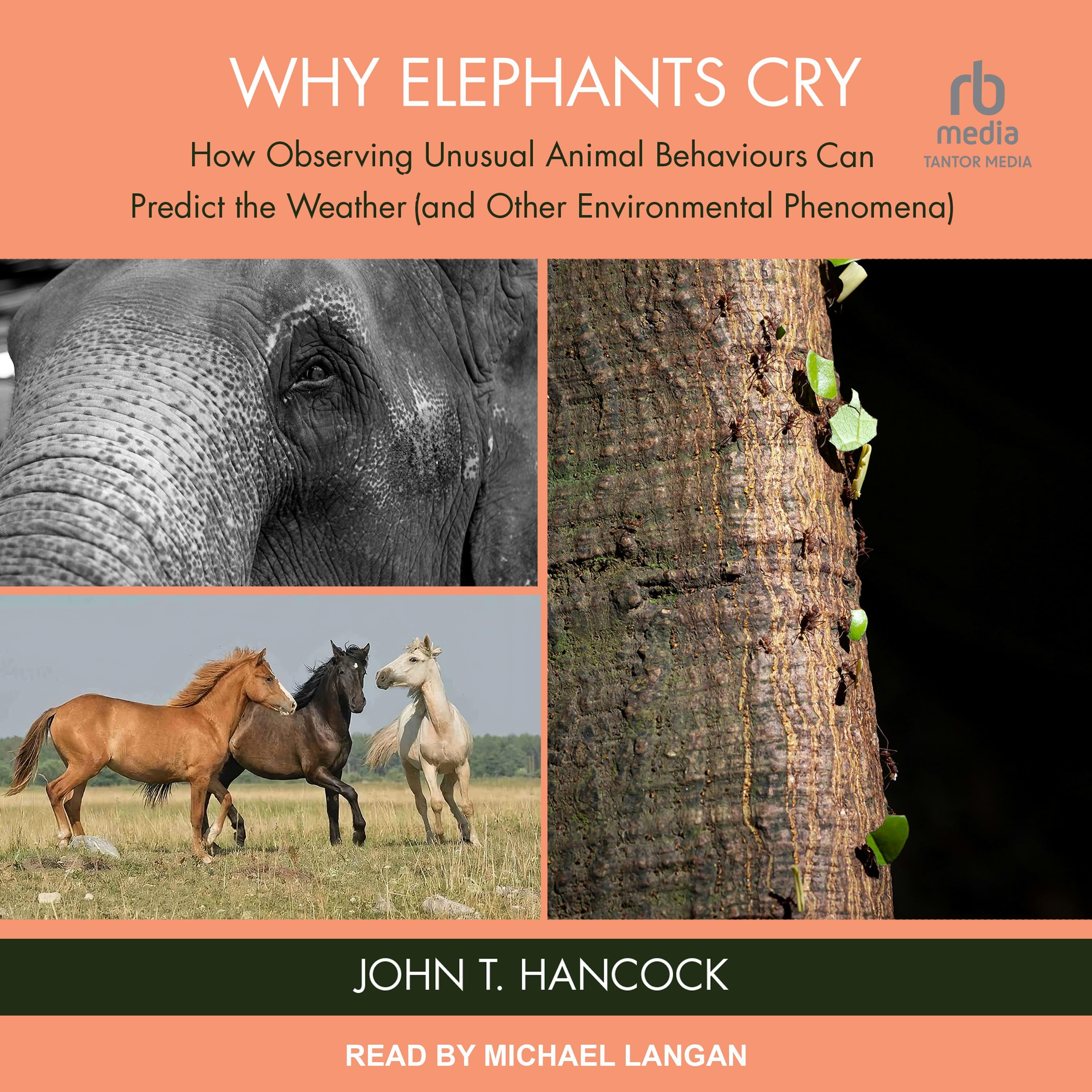 Why Elephants Cry