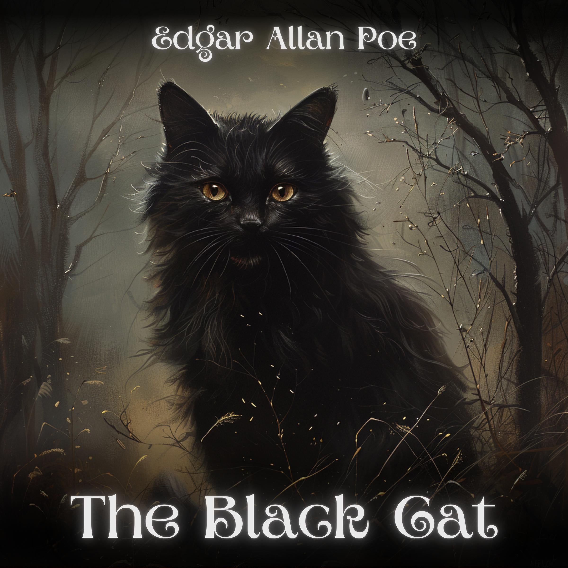 The Black Cat