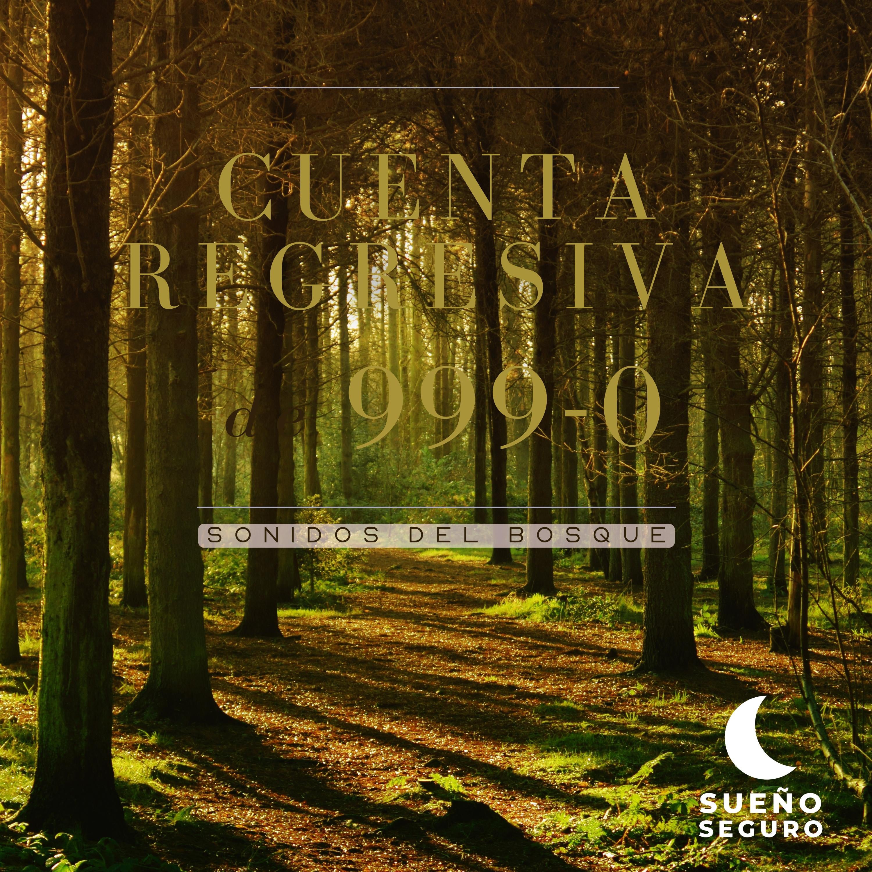 Cuenta regresiva de 999-0: Sonidos del bosque