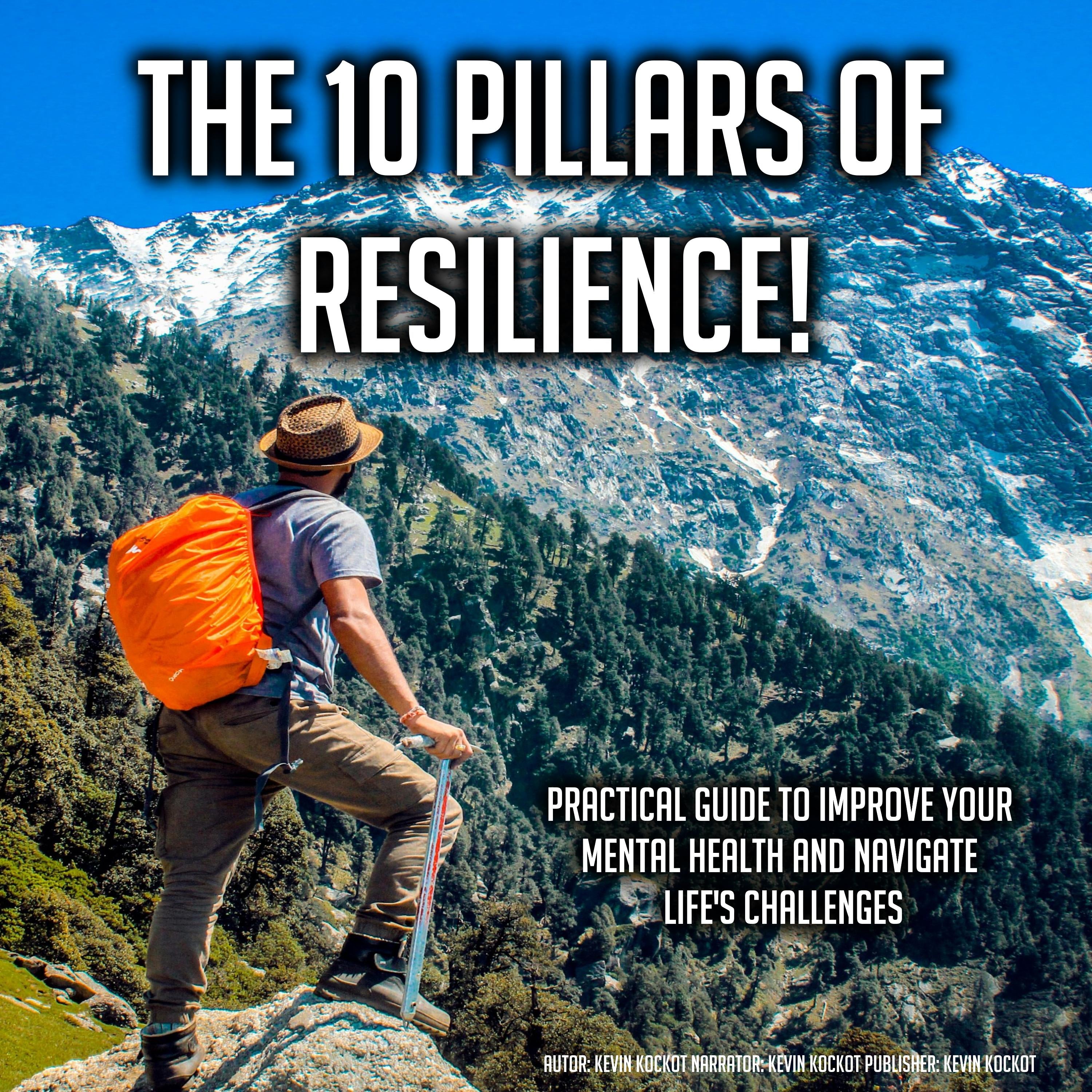 The 10 Pillars Of Resilience!