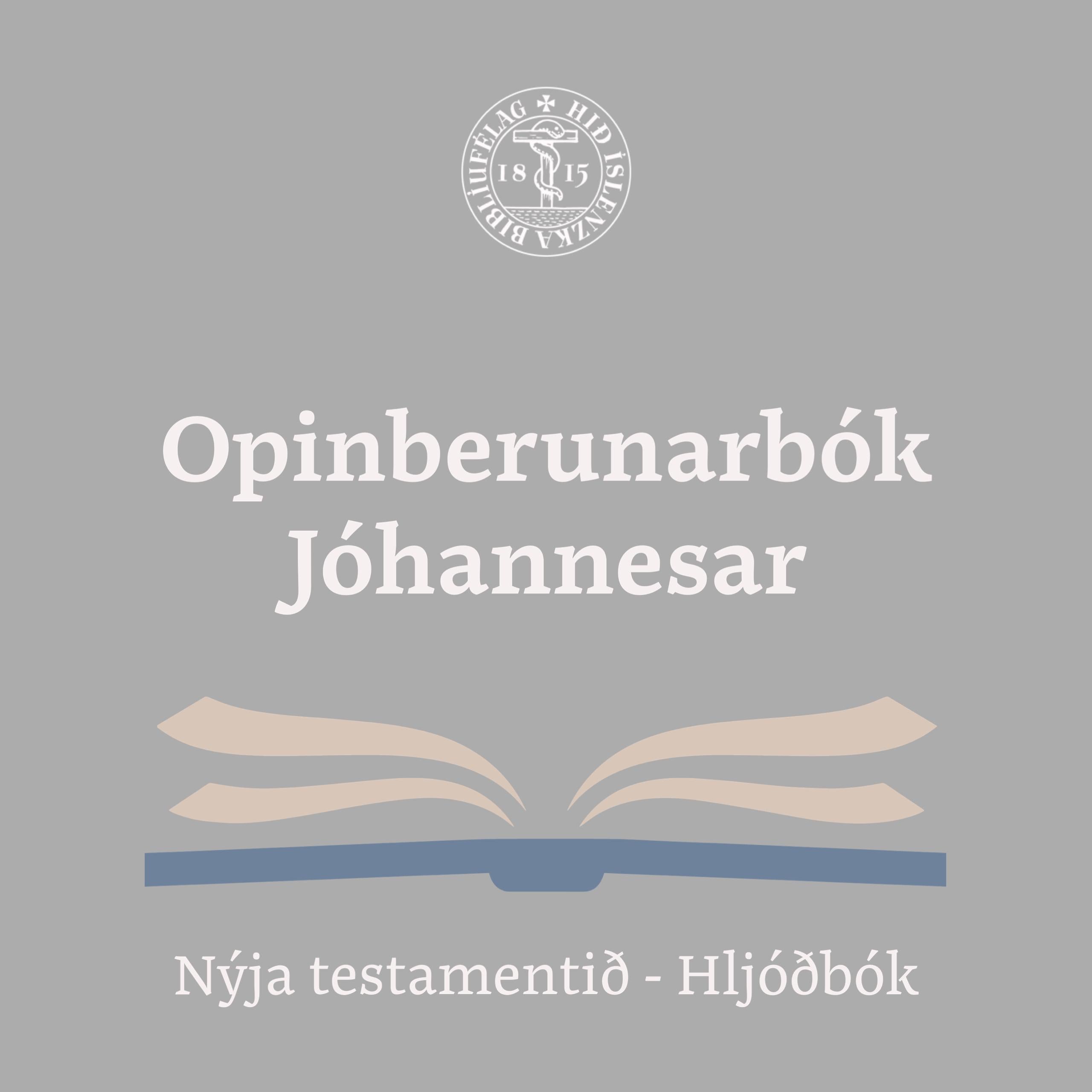 Opinberunarbók Jóhannesar