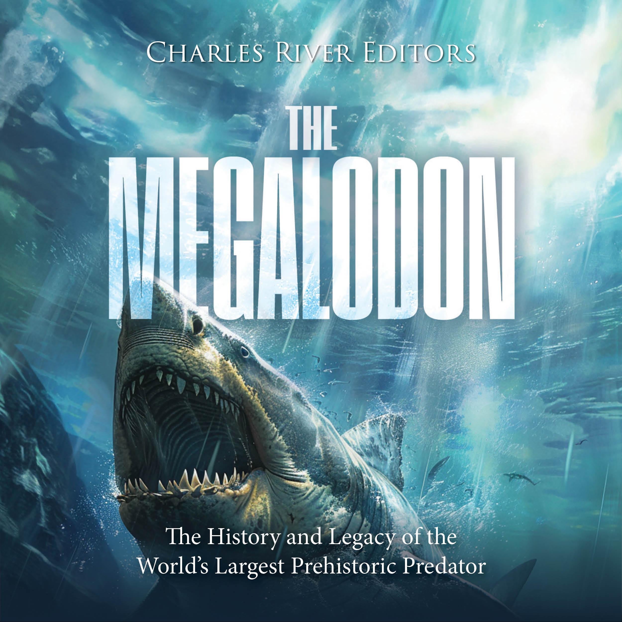 The Megalodon: The History and Legacy of the World’s Largest Prehistoric Predator