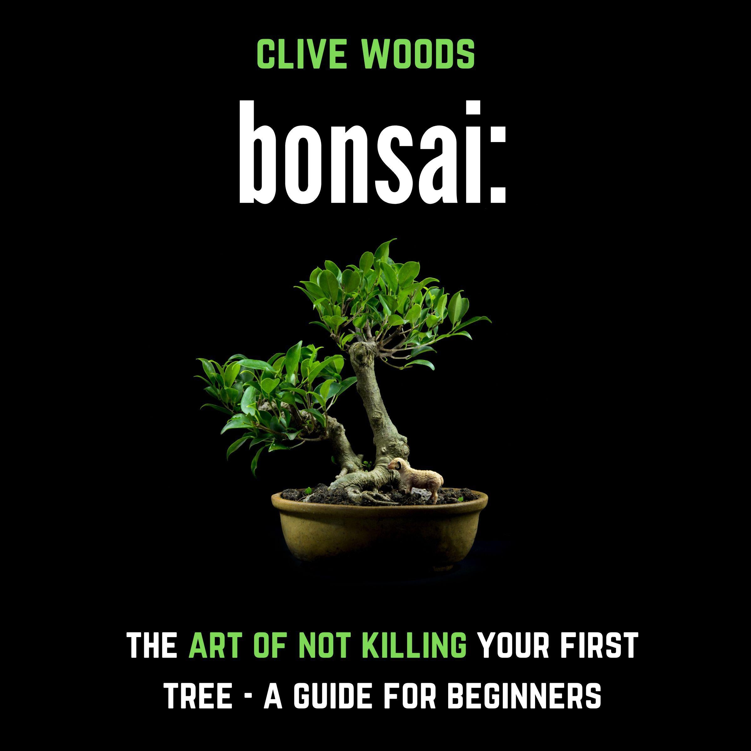 Bonsai: The art of not killing your first tree