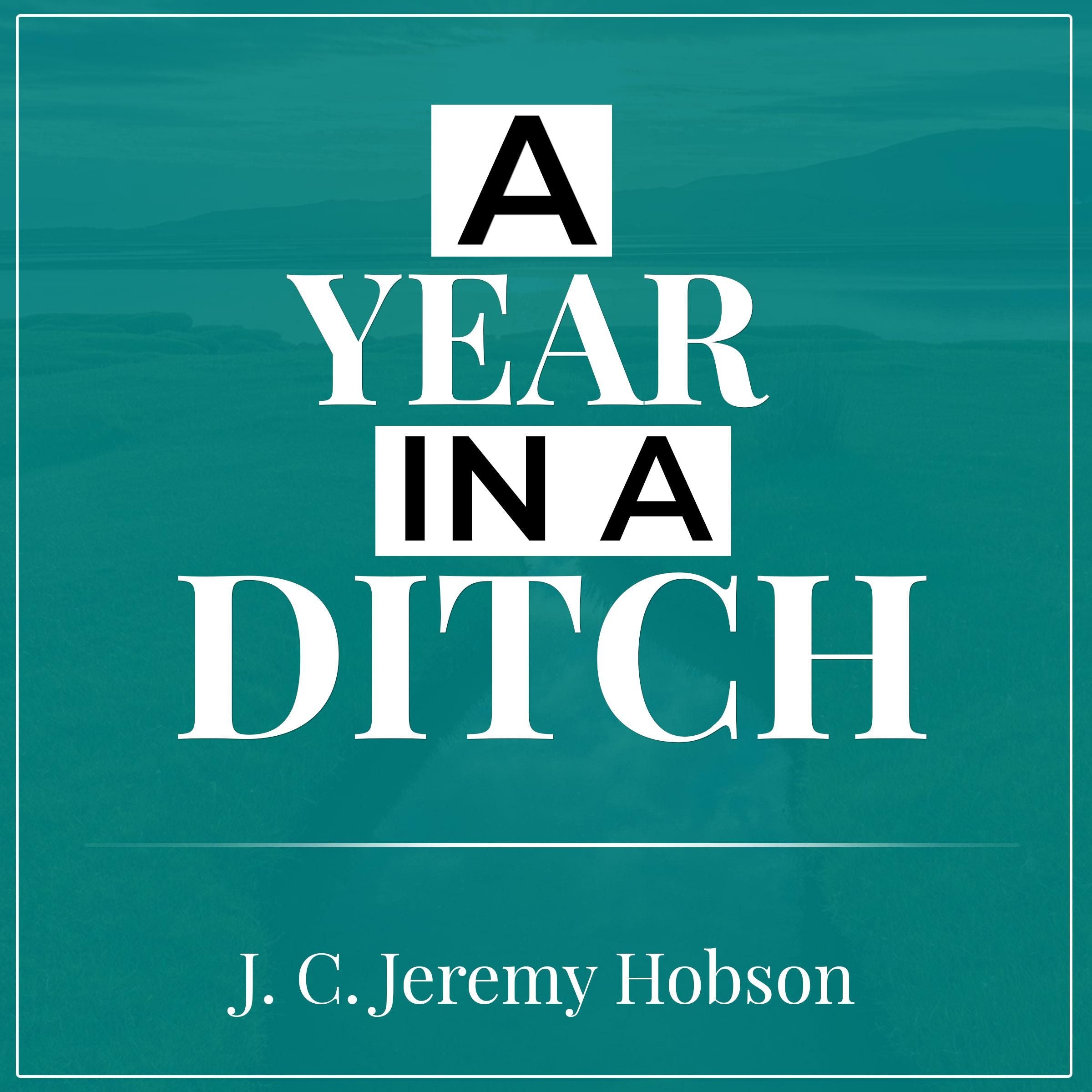A Year in a Ditch