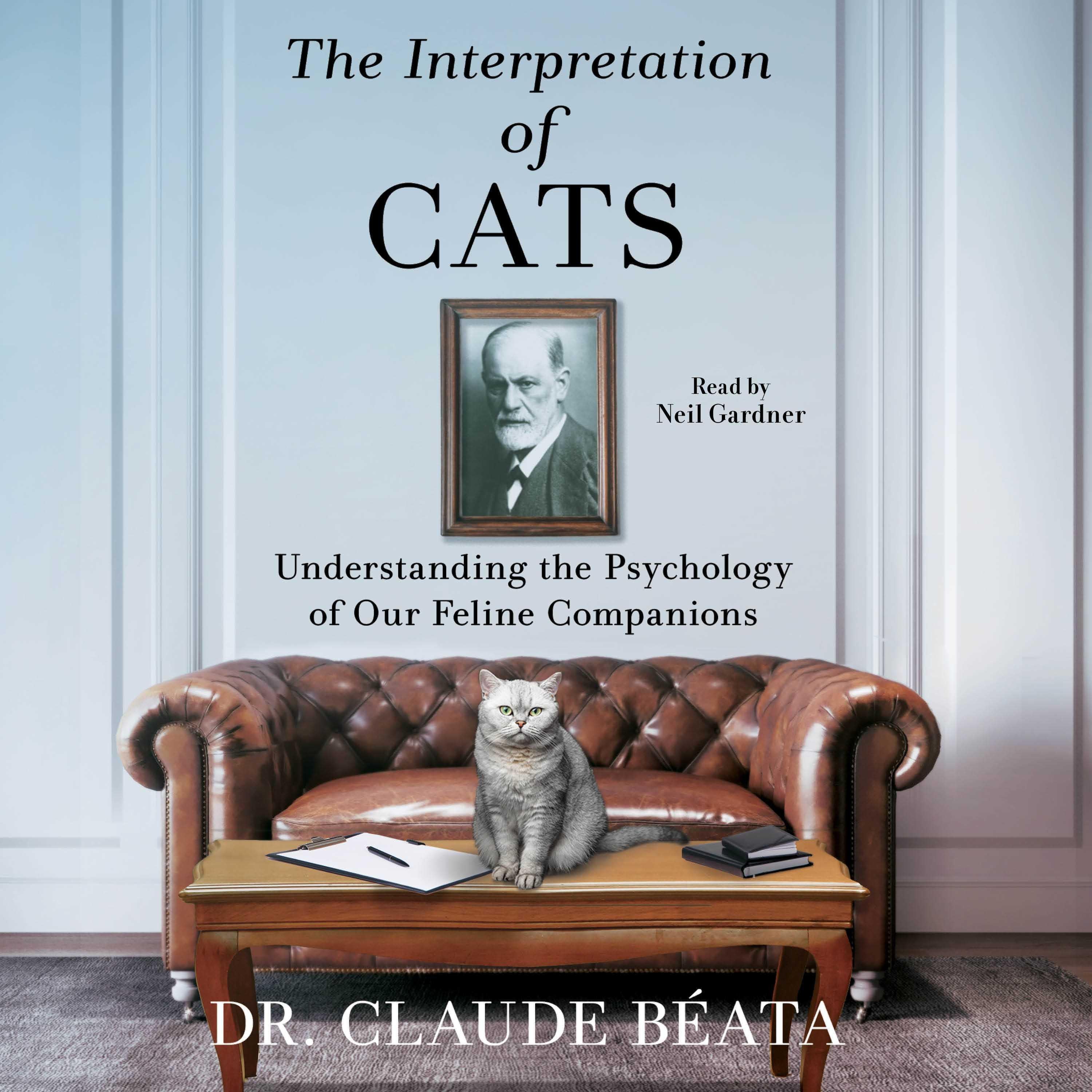 The Interpretation of Cats