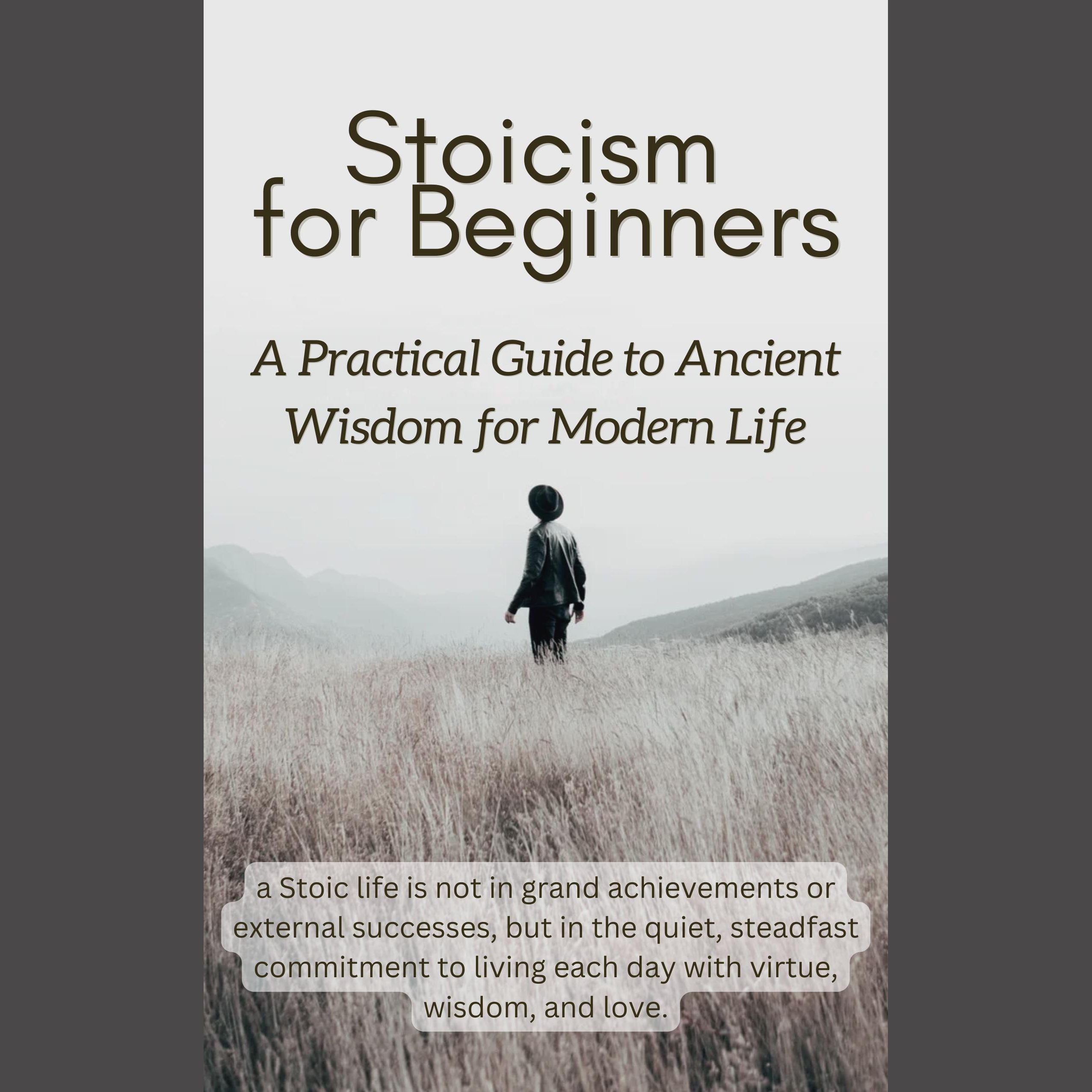 Stoicism for Beginners