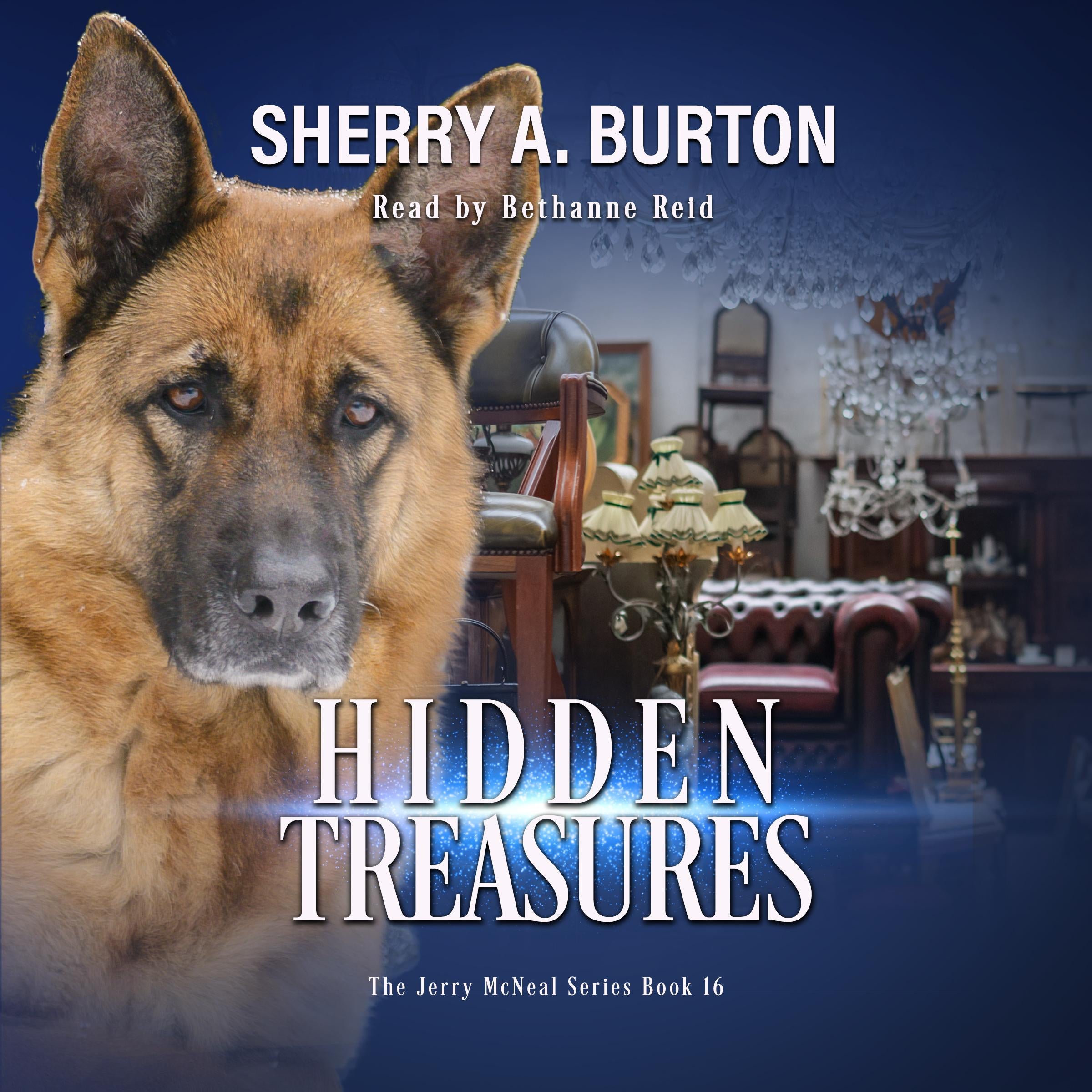 Hidden Treasures