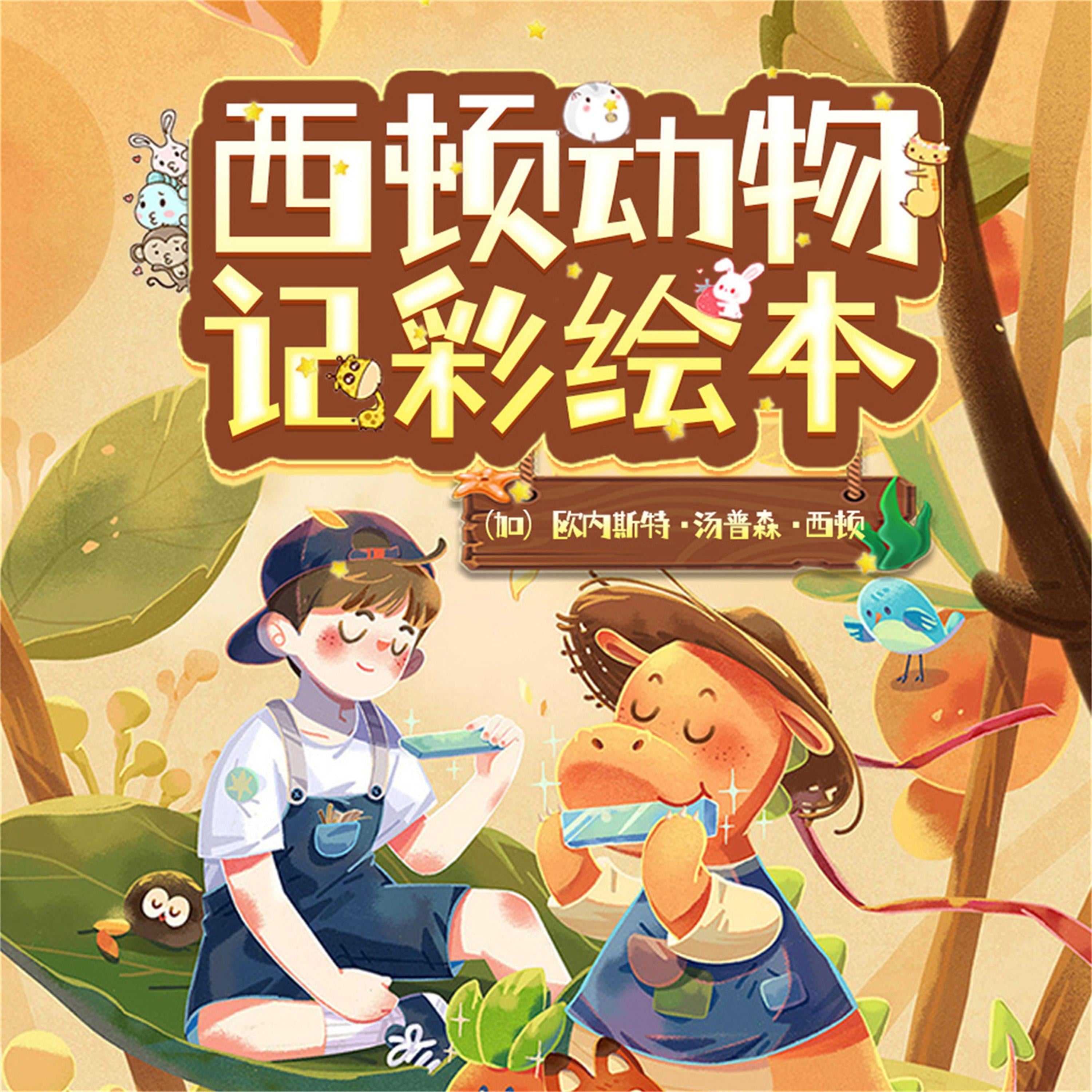 西顿动物记彩绘本:全10册