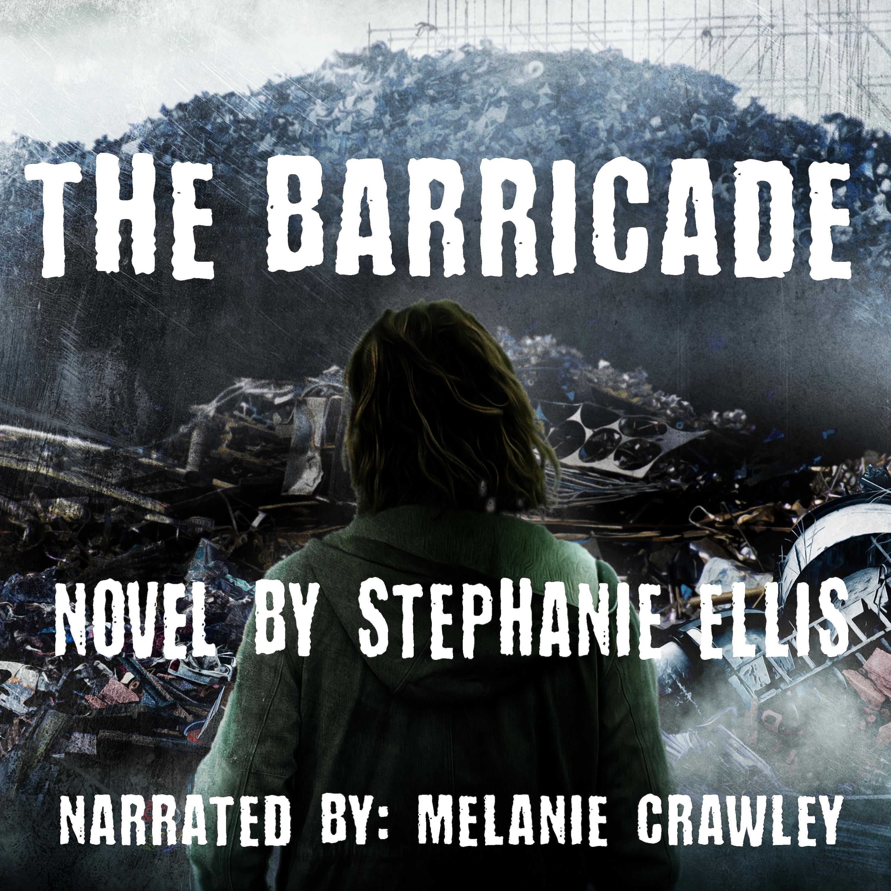 The Barricade
