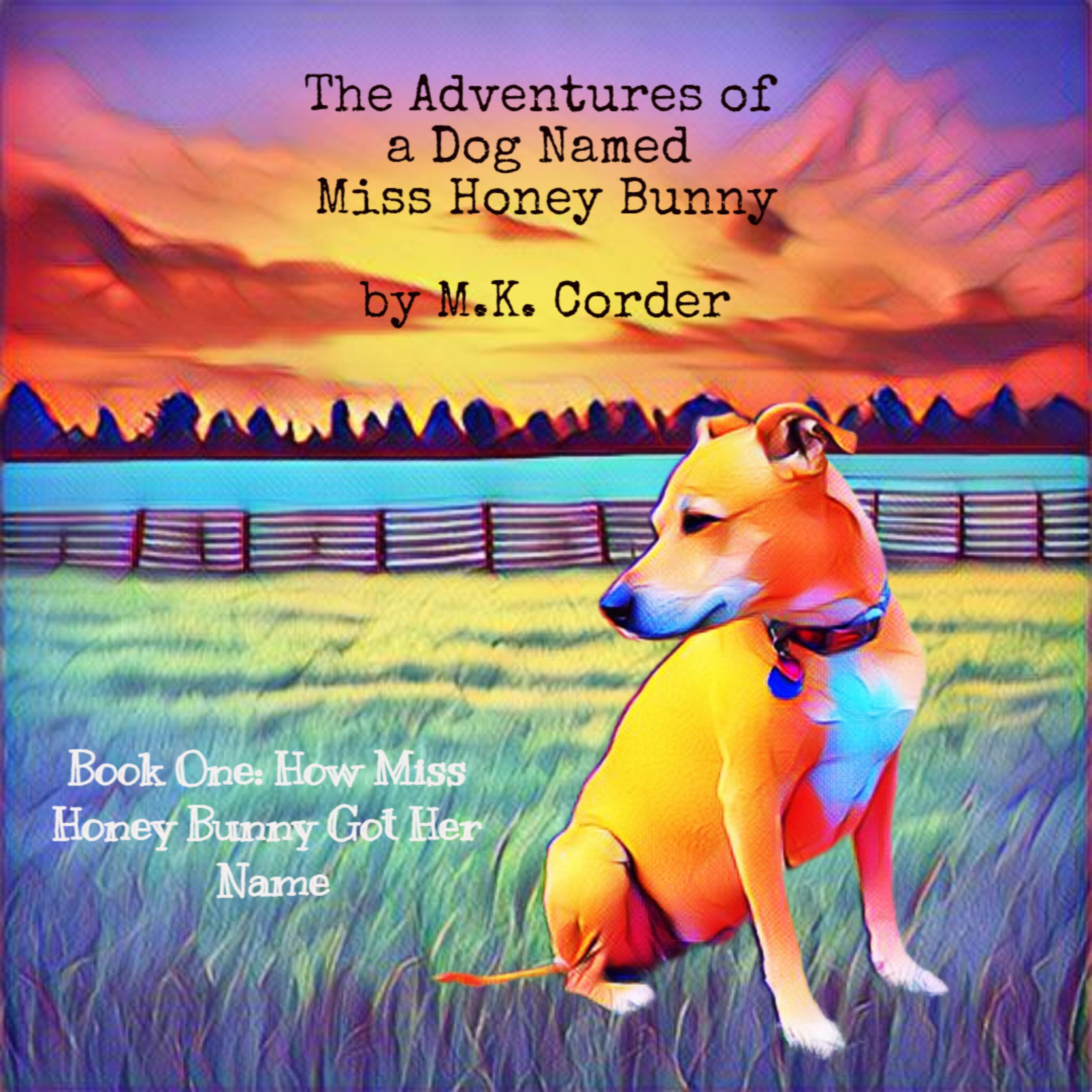 The Adventures of a Dog Named Miss Honey Bunny