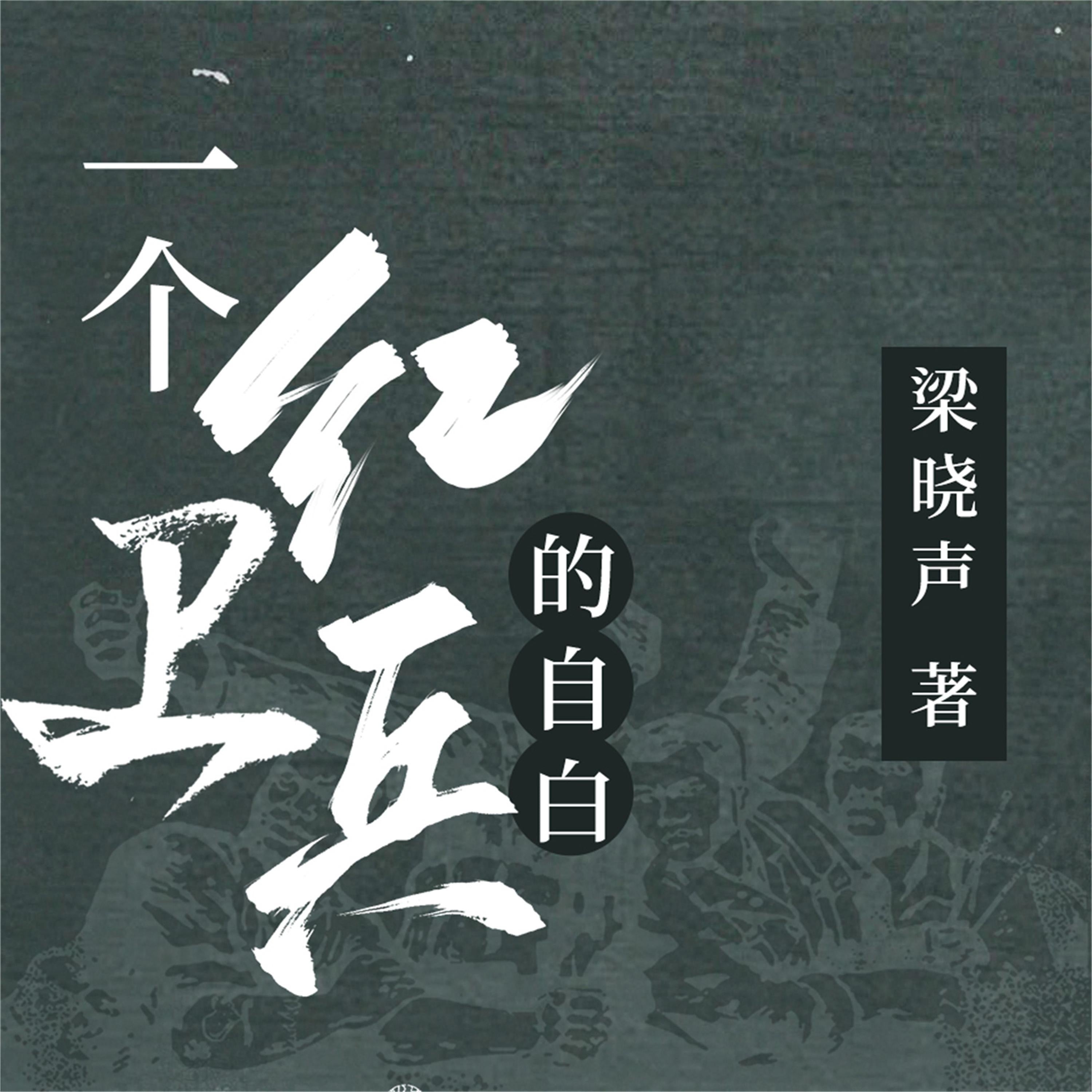 一个红卫兵的自白