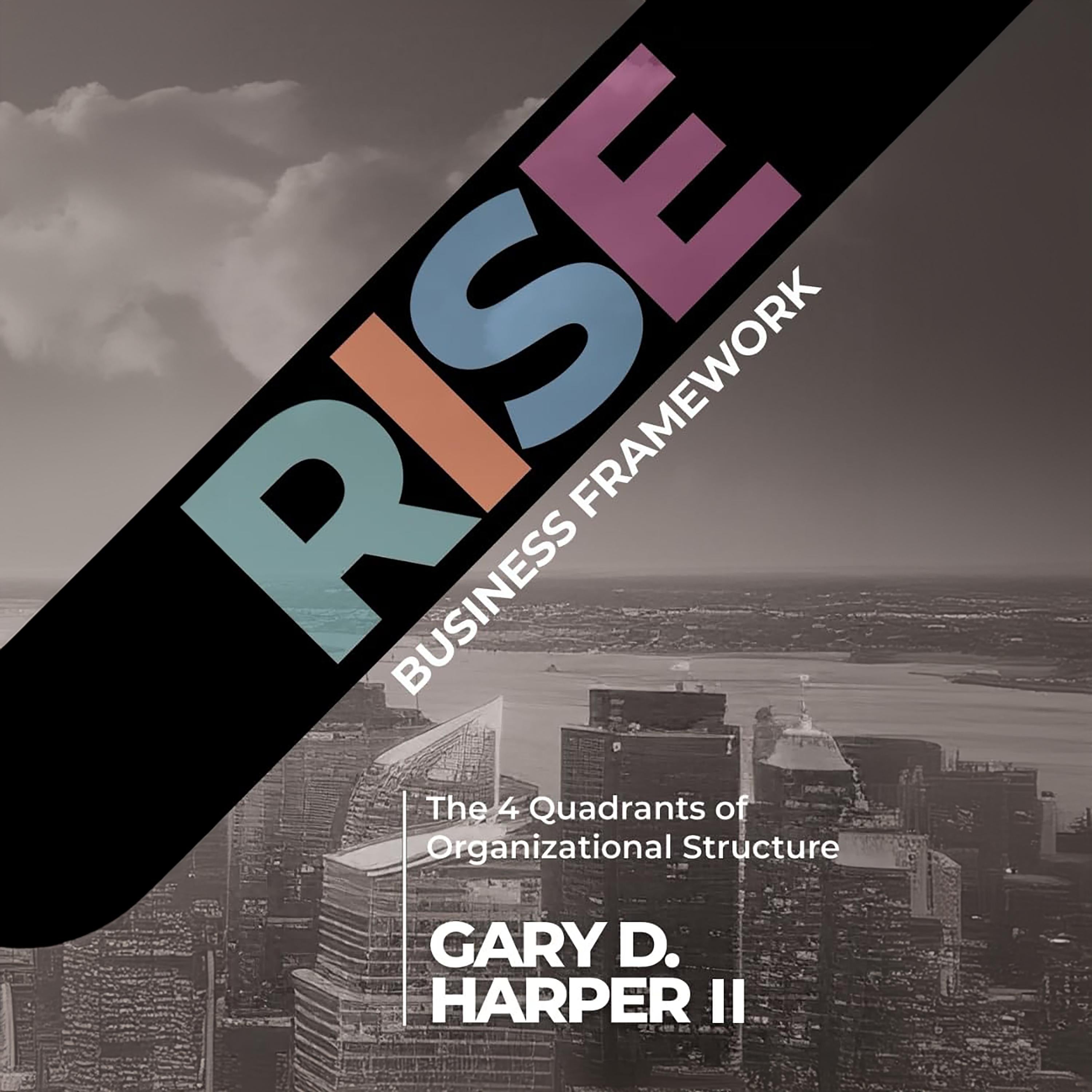 RISE Business Framework