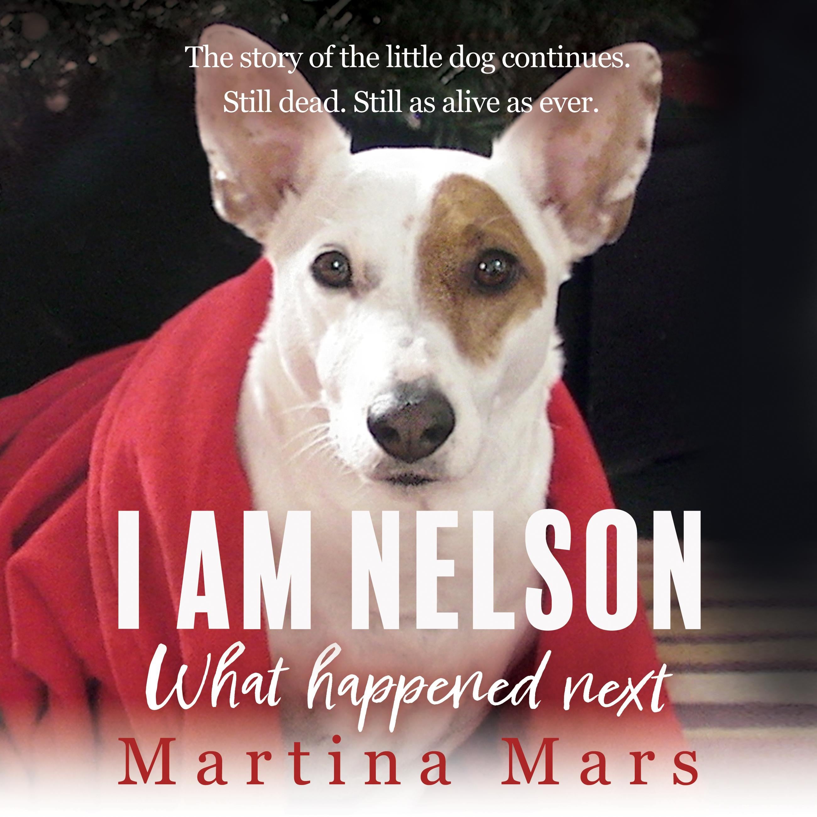 I AM NELSON What Happened Next