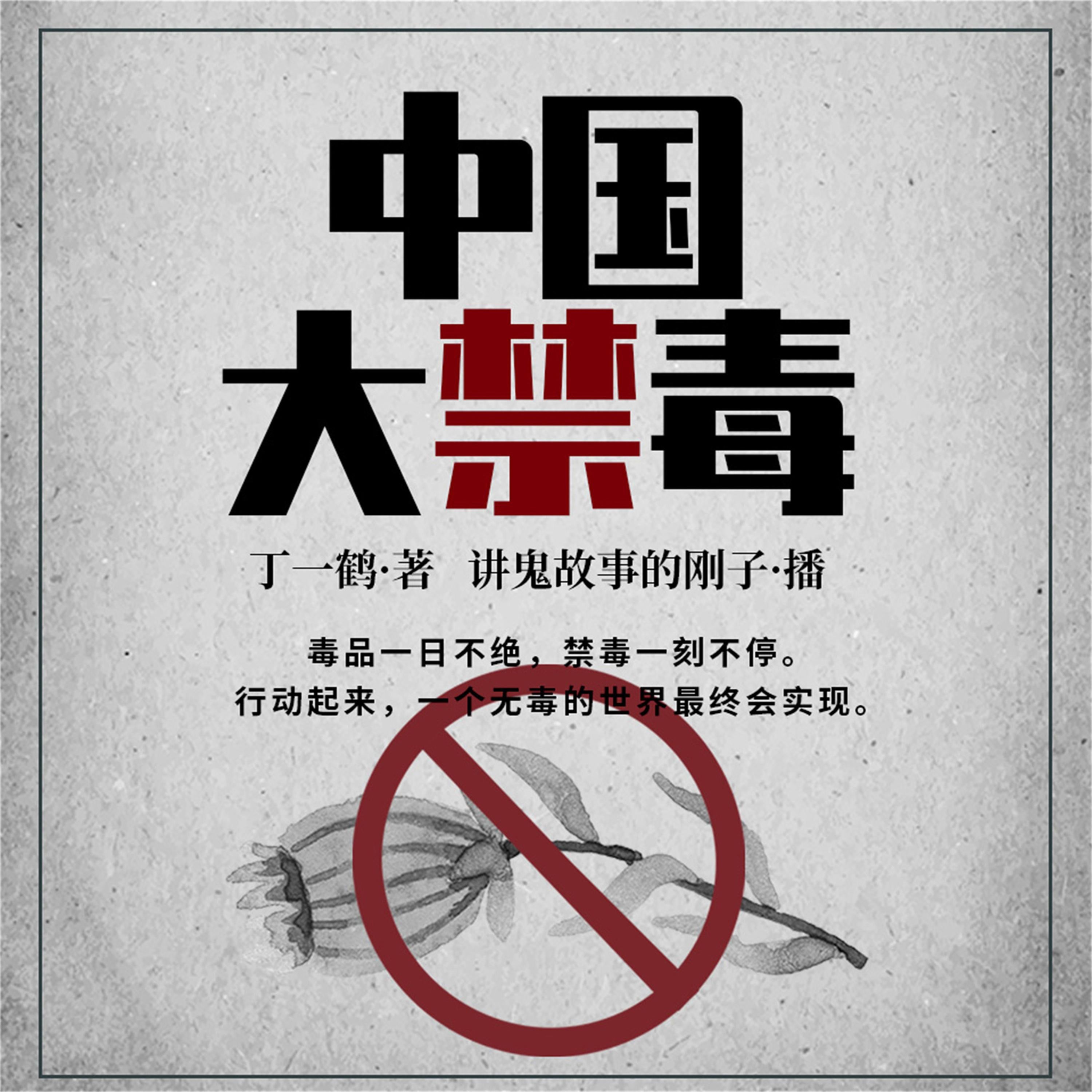中国大禁毒
