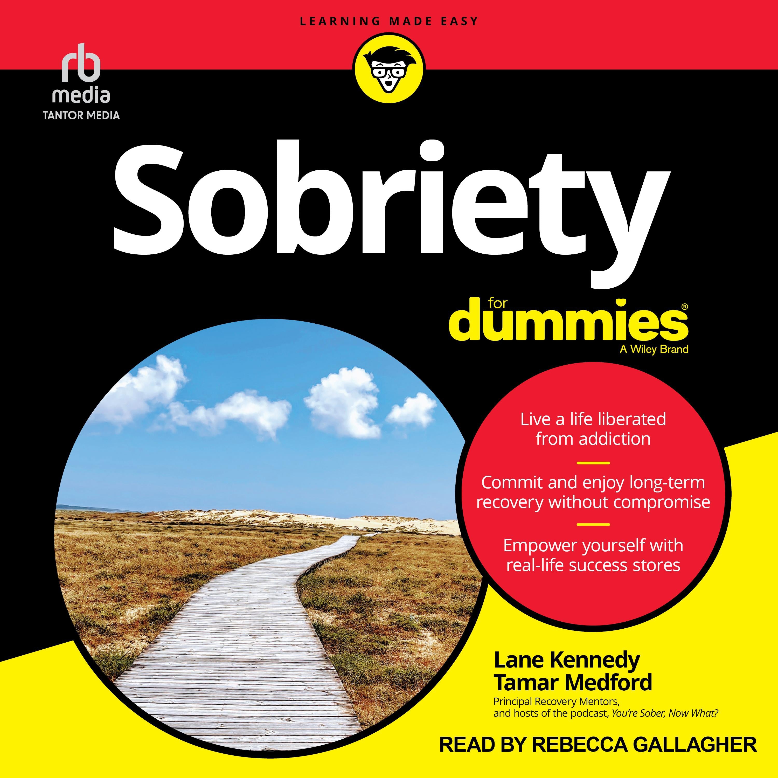 Sobriety For Dummies