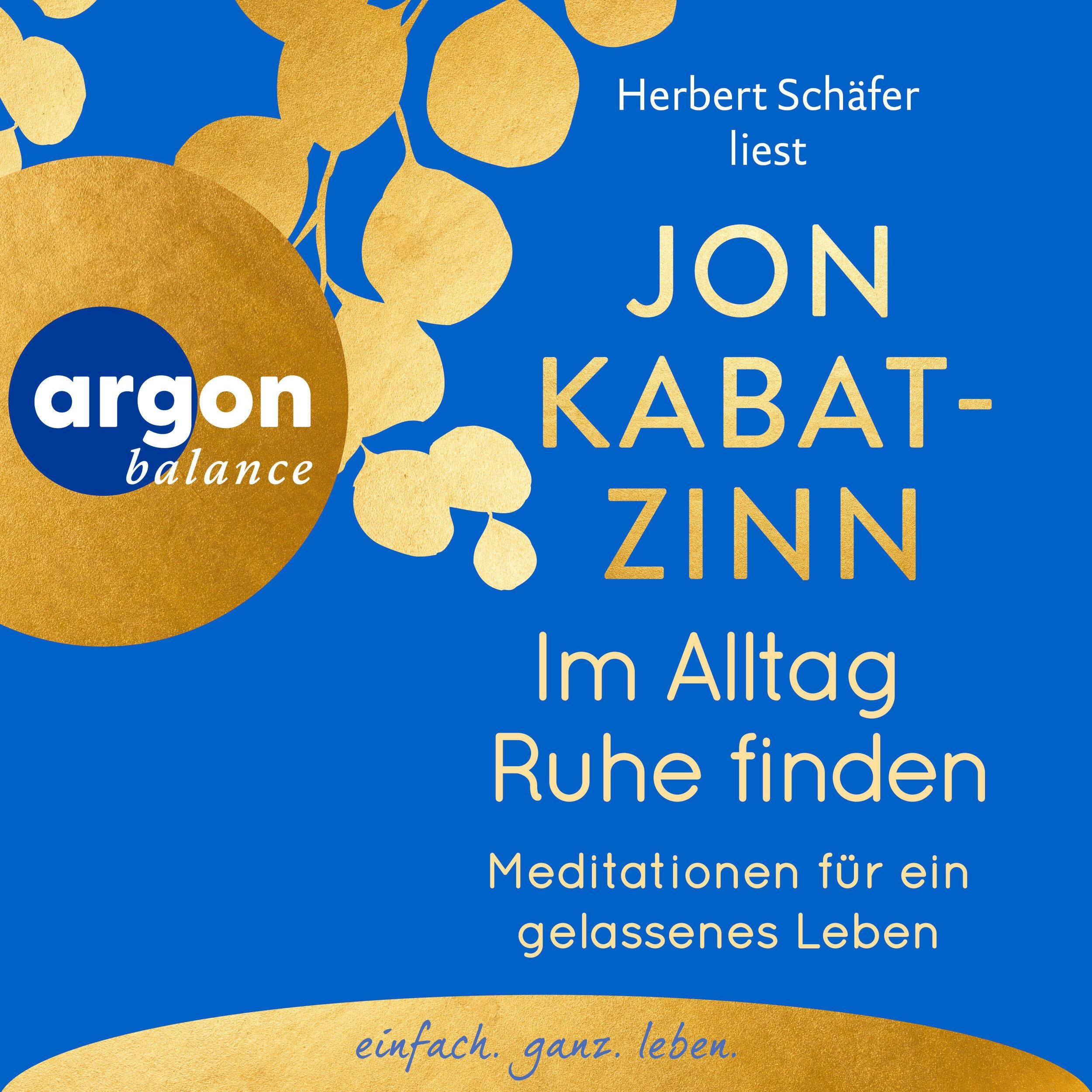 Im Alltag Ruhe finden - Meditationen für ein gelassenes Leben (Ungekürzte Lesung)