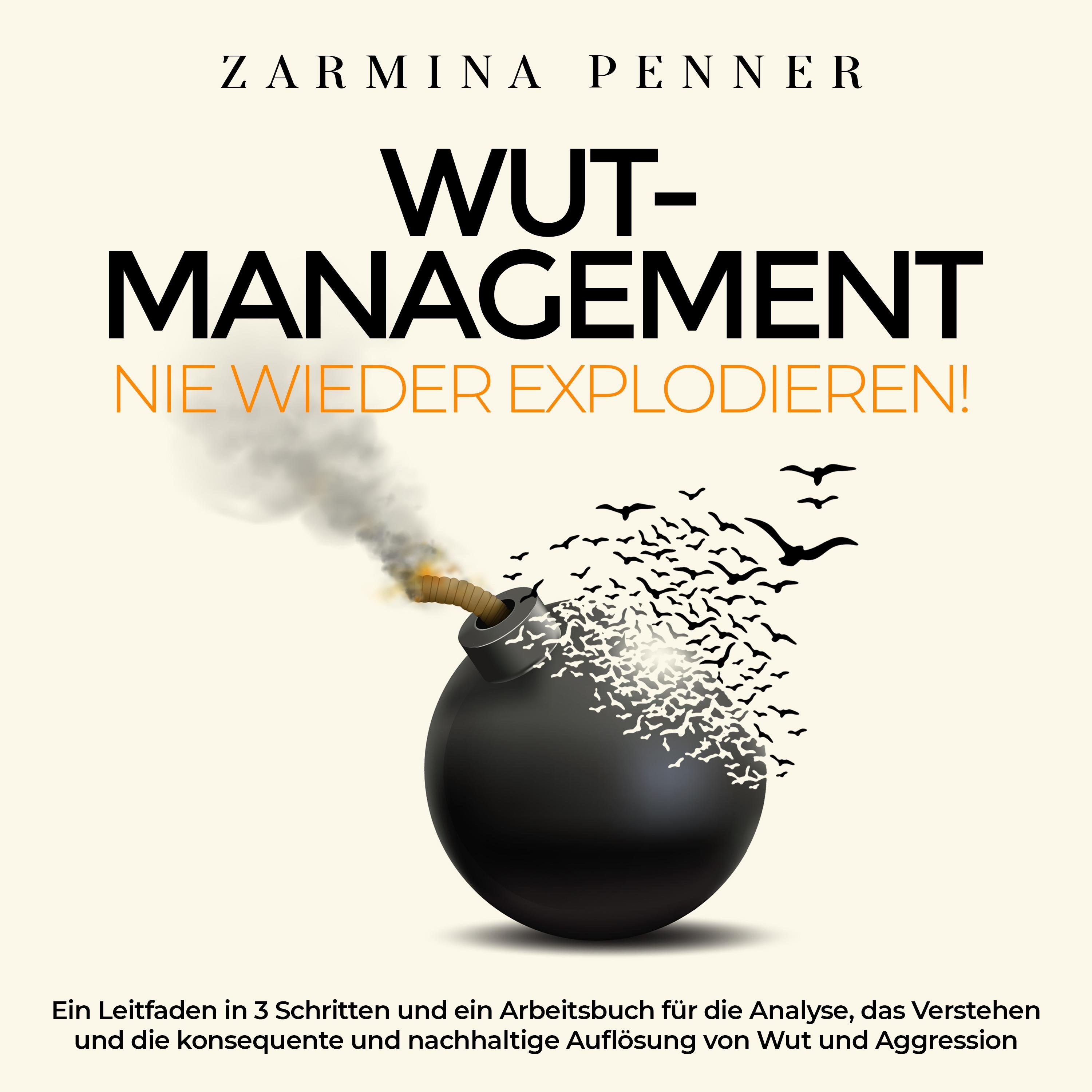 Wut-Management - Nie wieder explodieren!