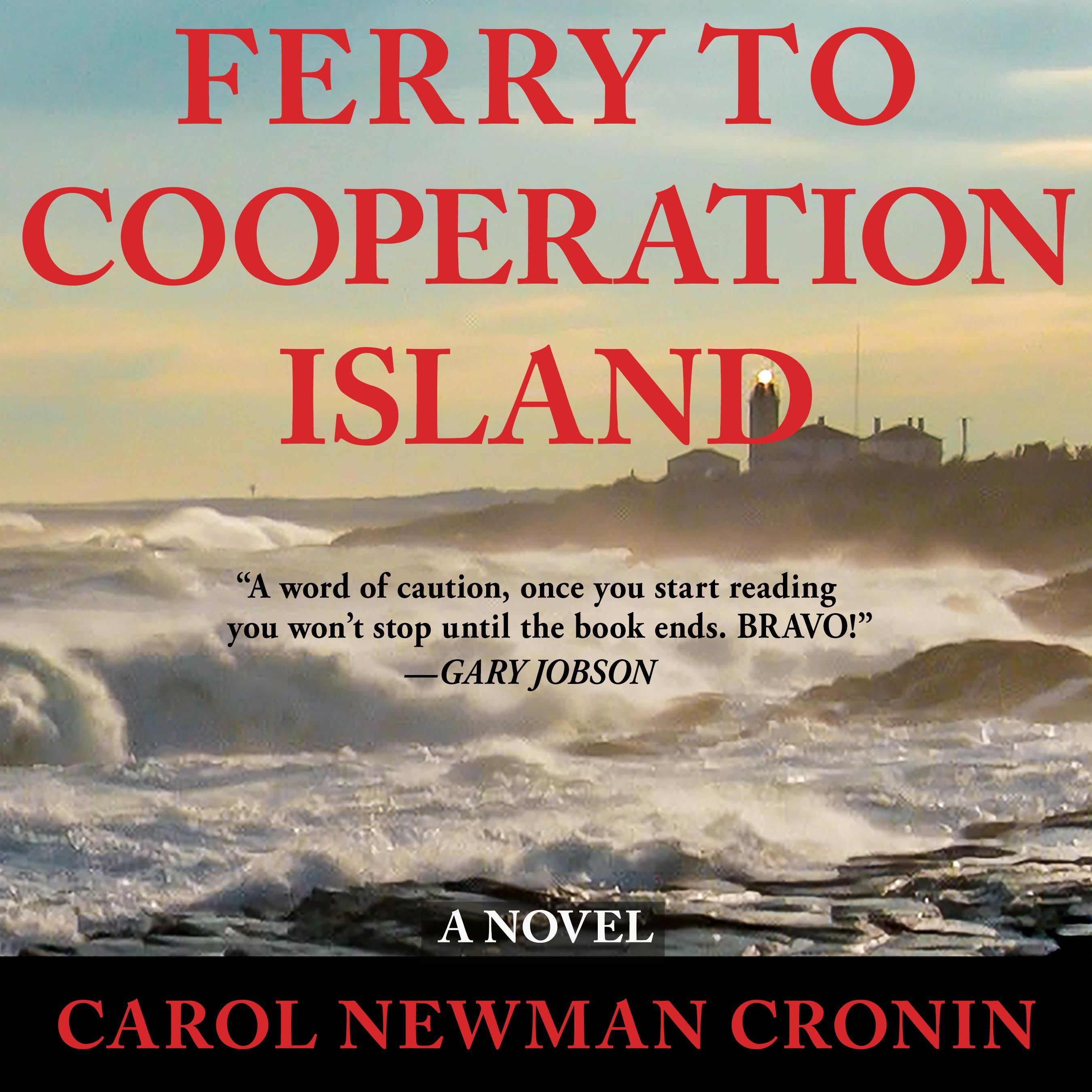 Ferry to Cooperation Island