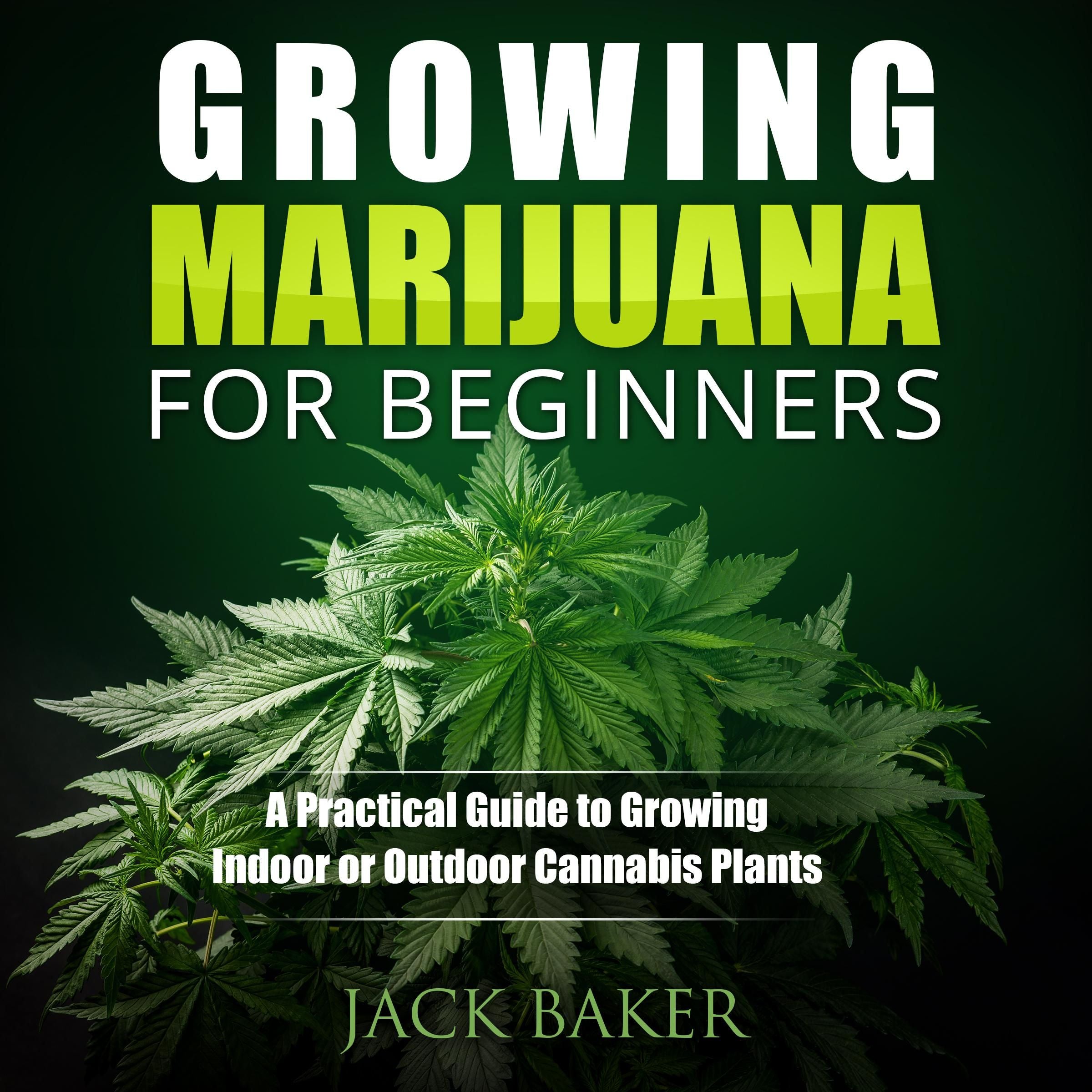 Growing Marijuana for Beginners