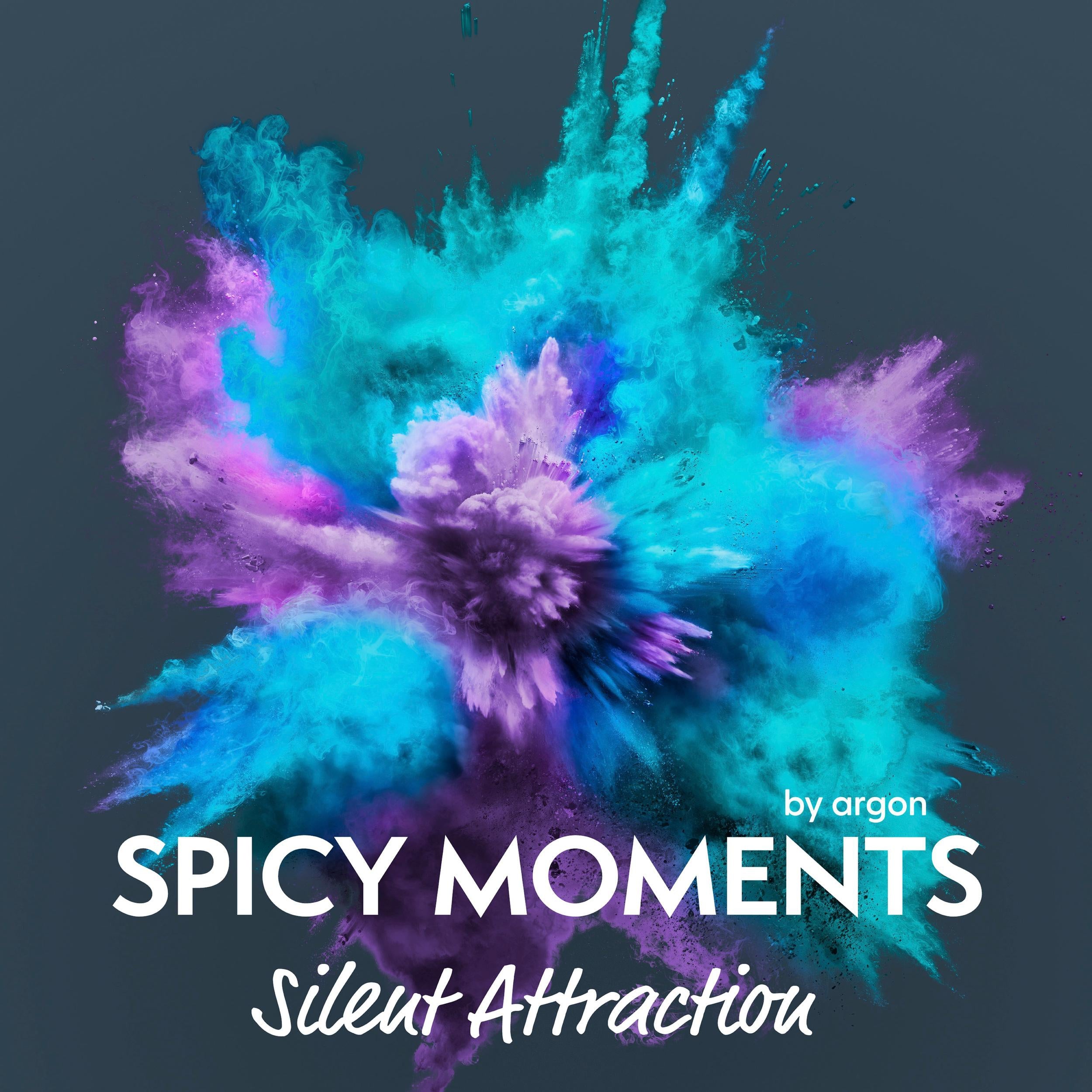 Silent Attraction - Erotische Geschichte - spicy moments, Band 12 (Ungekürzte Lesung)