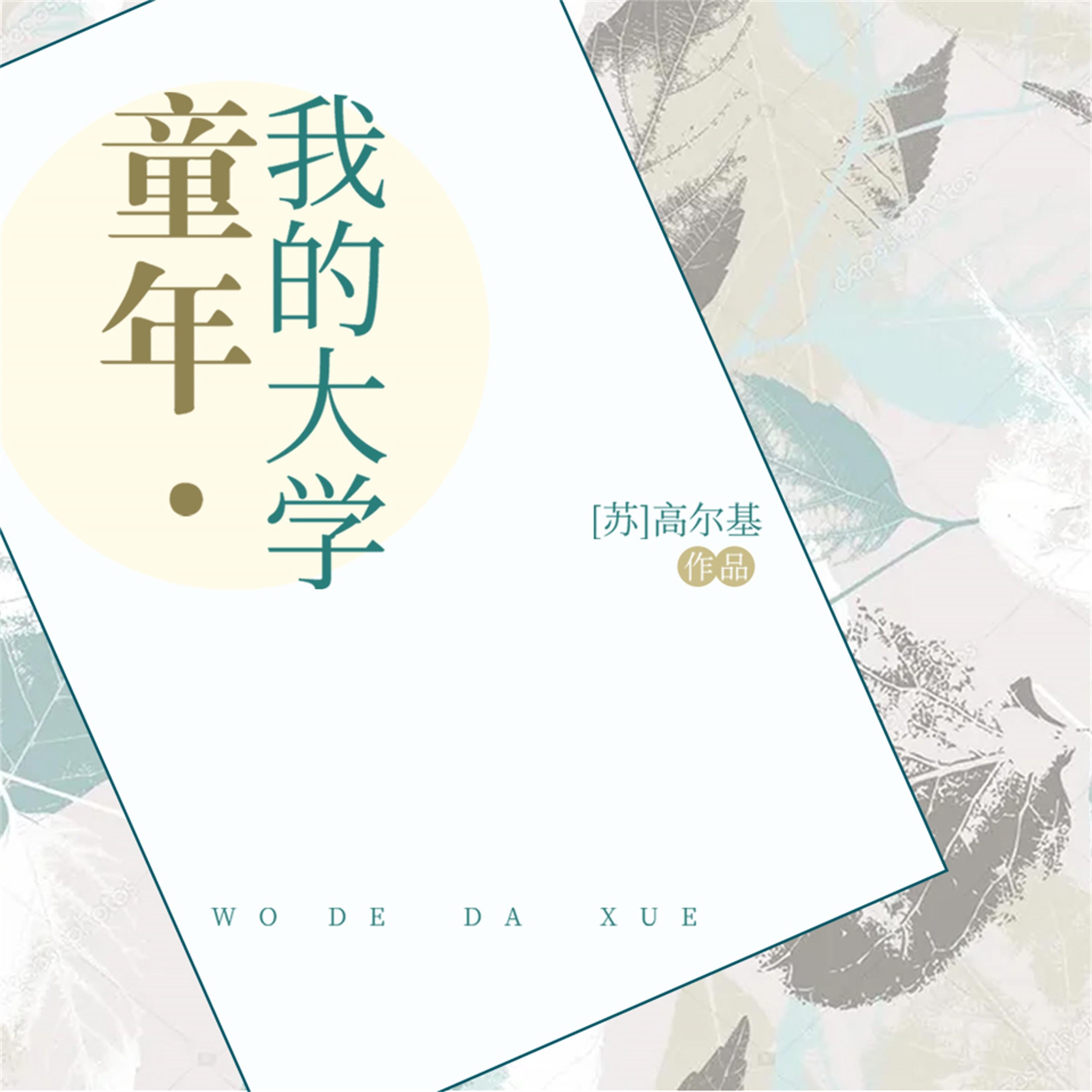 童年·我的大学