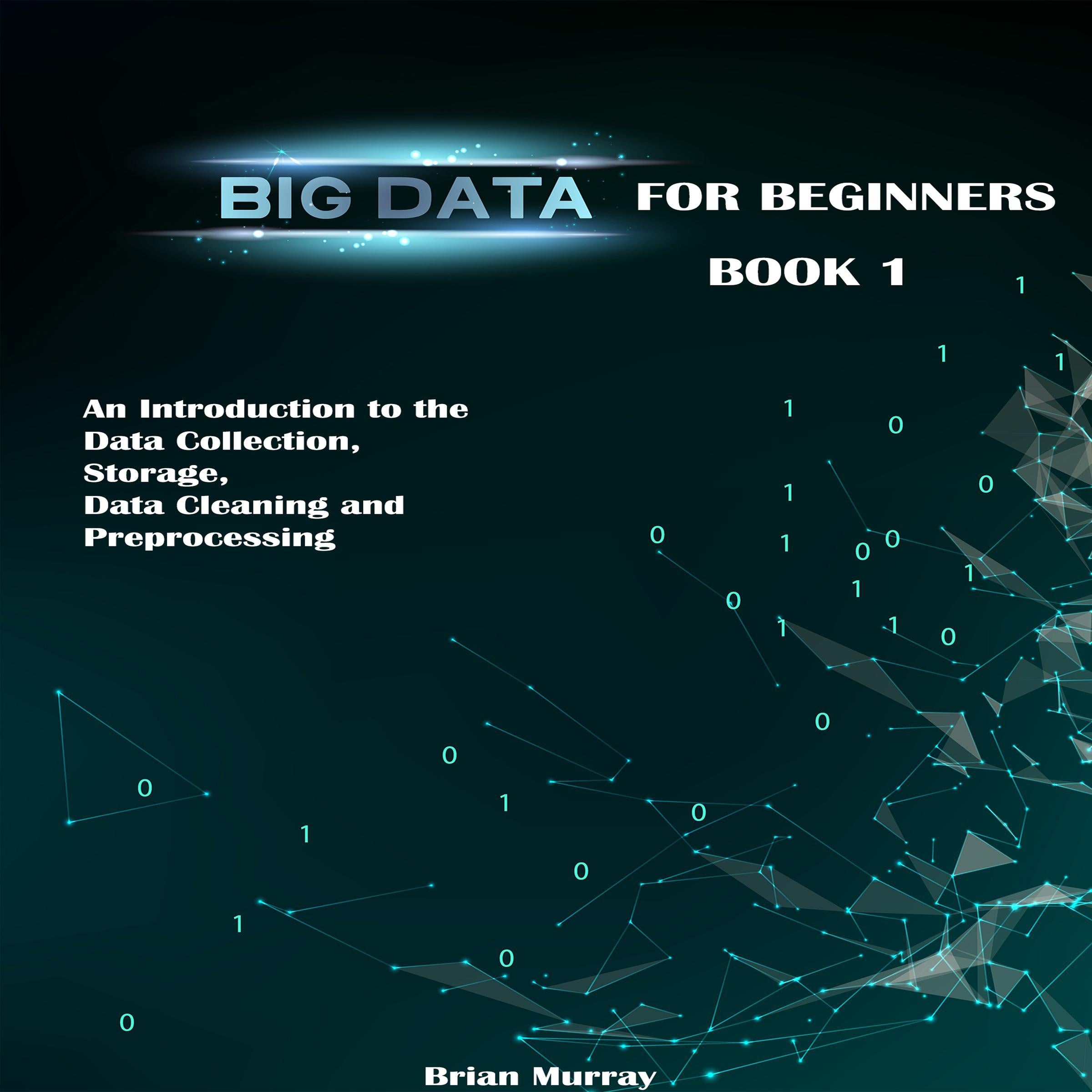 Big Data for Beginners